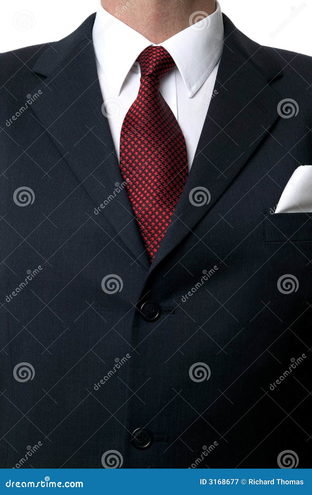 Shirt and tie torso stock image. Image of professional - 3168677