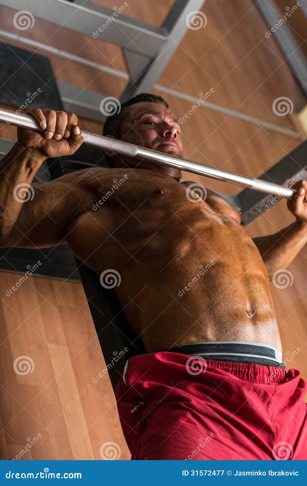 Shirtless Bodybuilder Doing Bench Press for Chest Stock Image Image