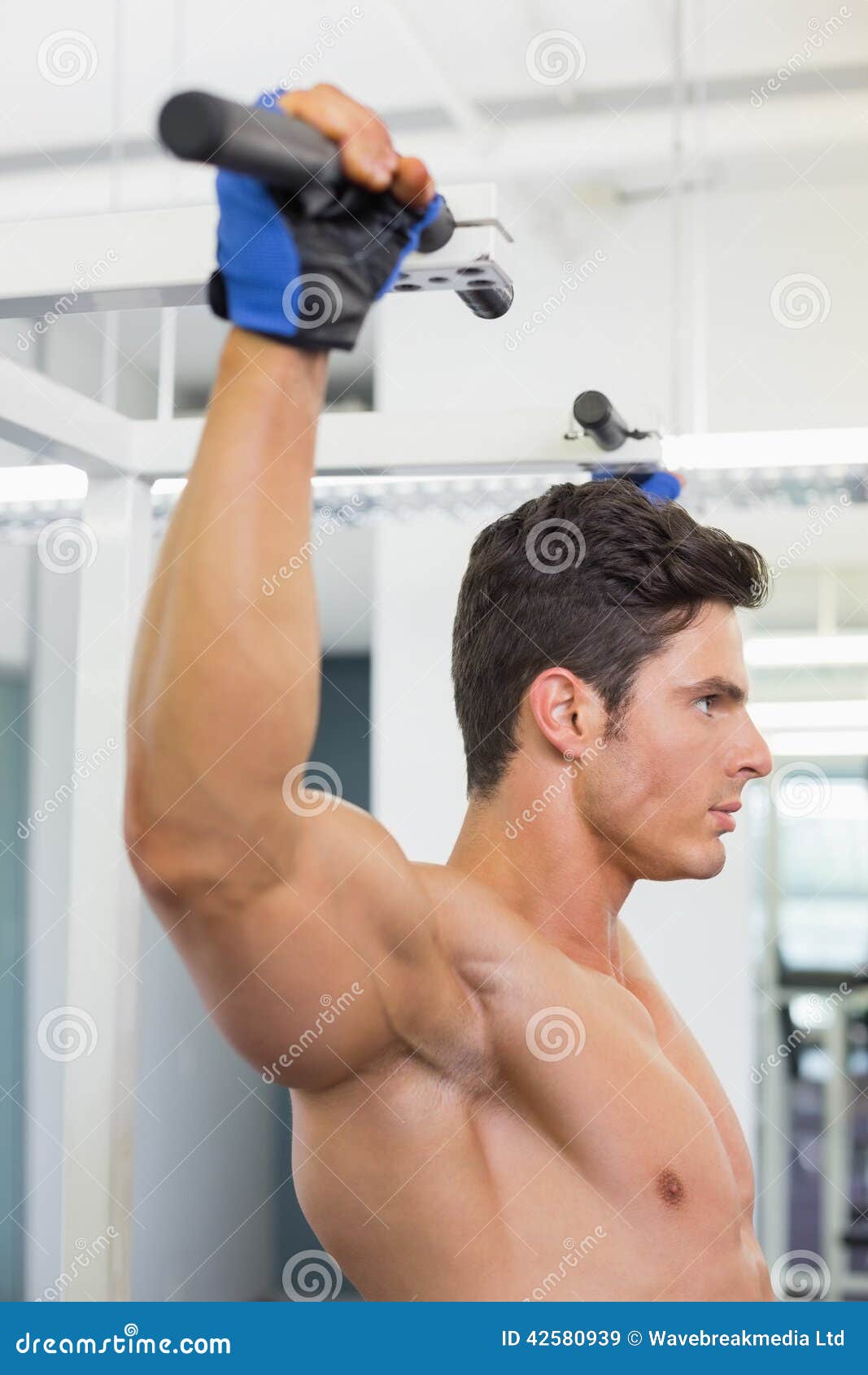 Shirtless Male Body Builder Doing Pull Ups at the Gym Stock Image Image of leisure, strong
