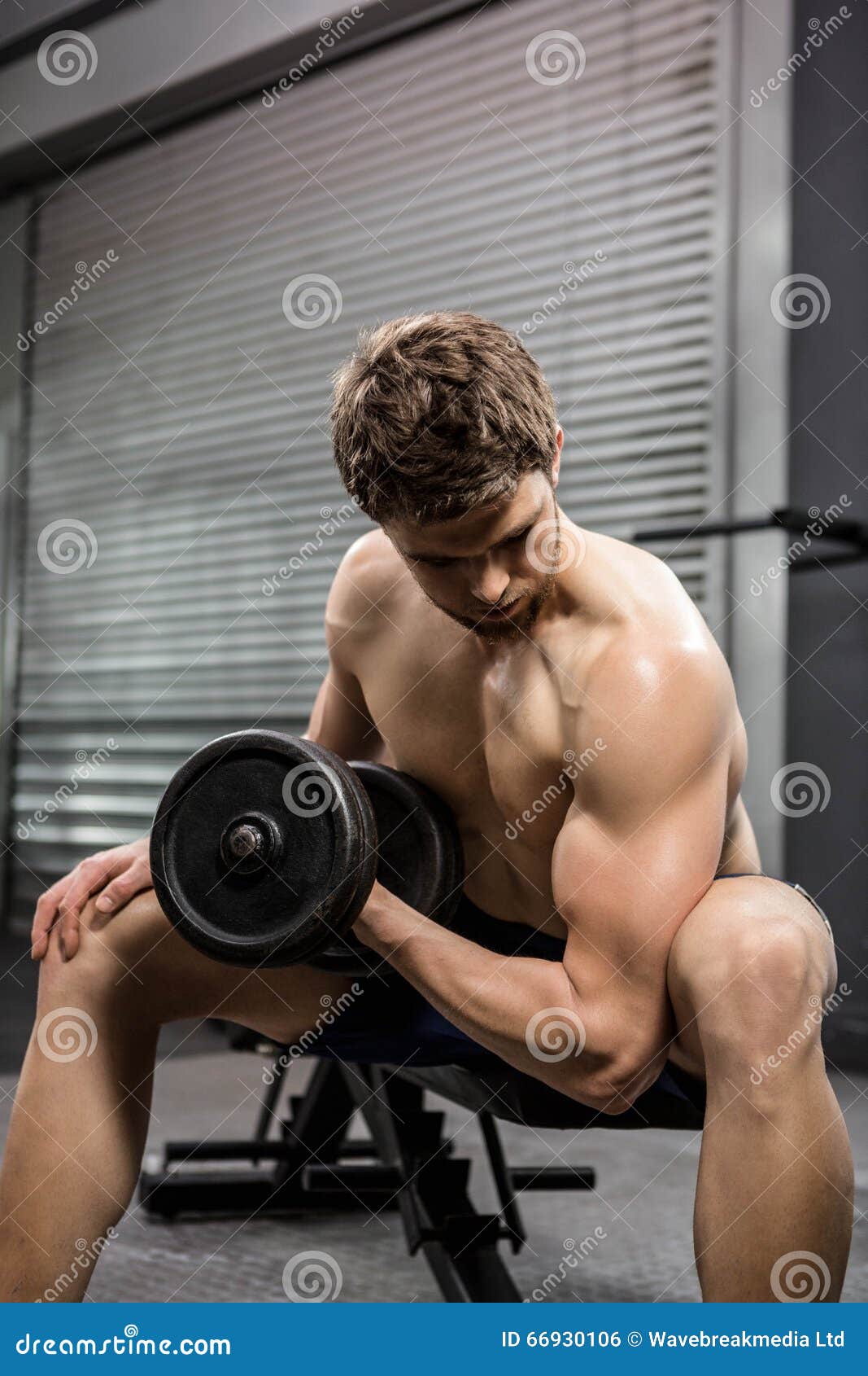 Shirtless Man Lifting Heavy Dumbbell On Bench Stock Photo Image Of