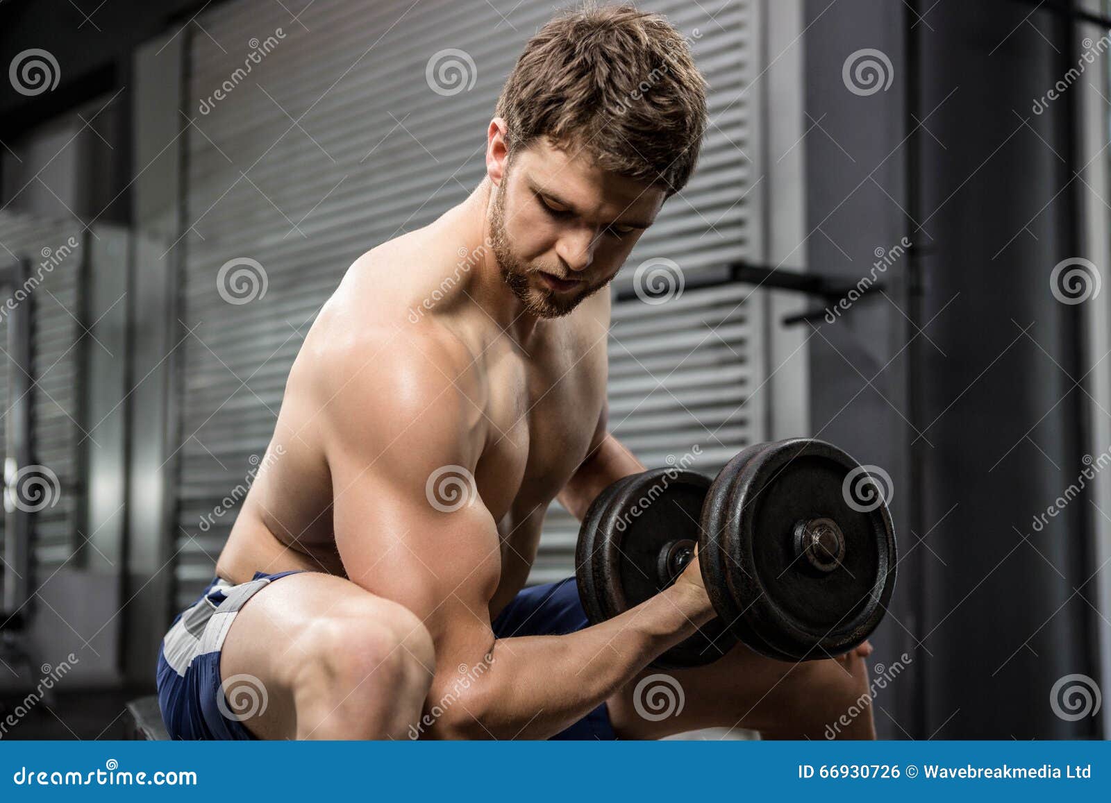 Shirtless Man Lifting Heavy Dumbbell On Bench Stock Photo Image Of