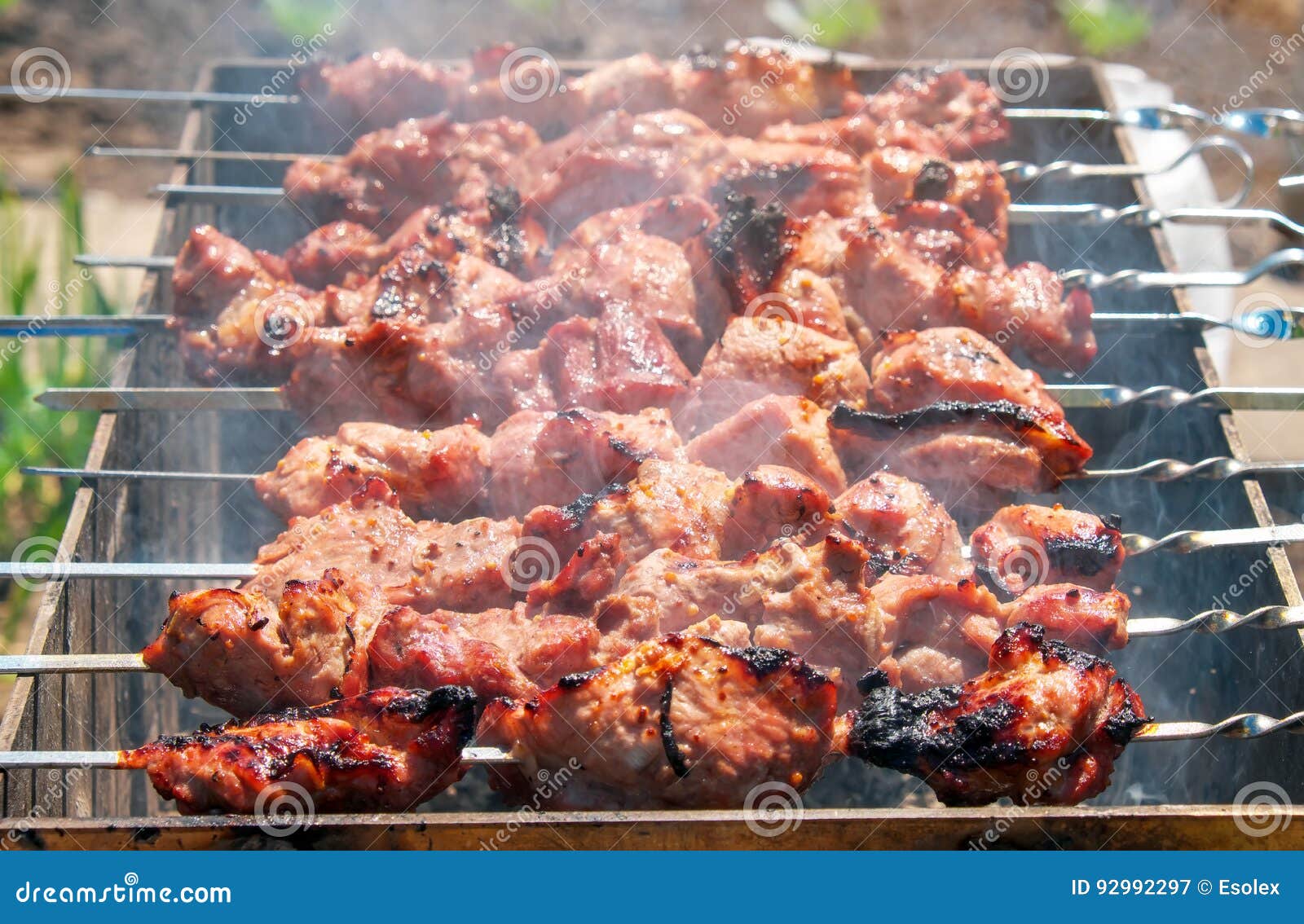 Shish Kebab is Baked Over a Fire with Smoke. Stock Image - Image of ...