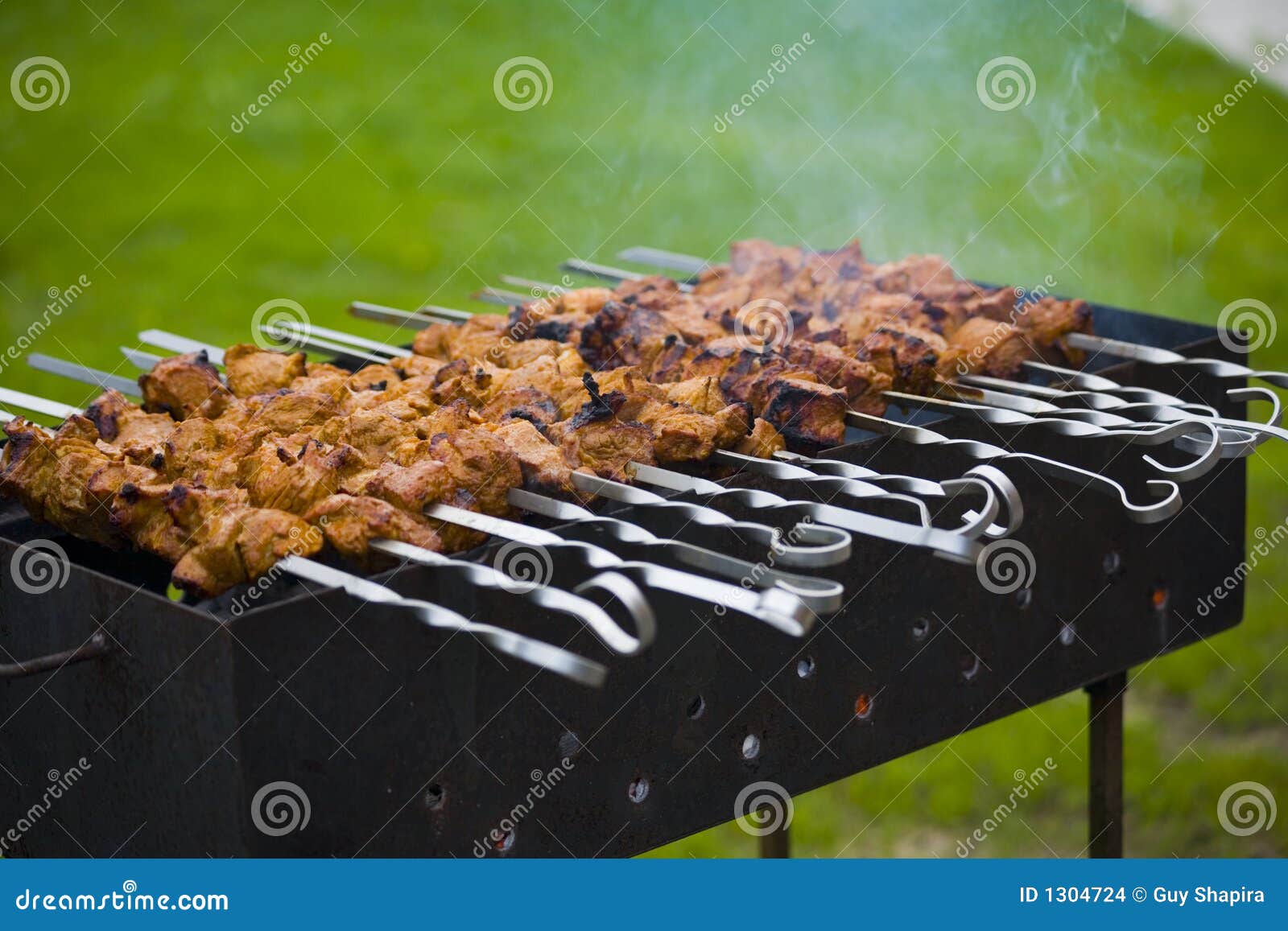 Shish Kebab on Household Picnic Stock Photo Image of food, roast 1304724