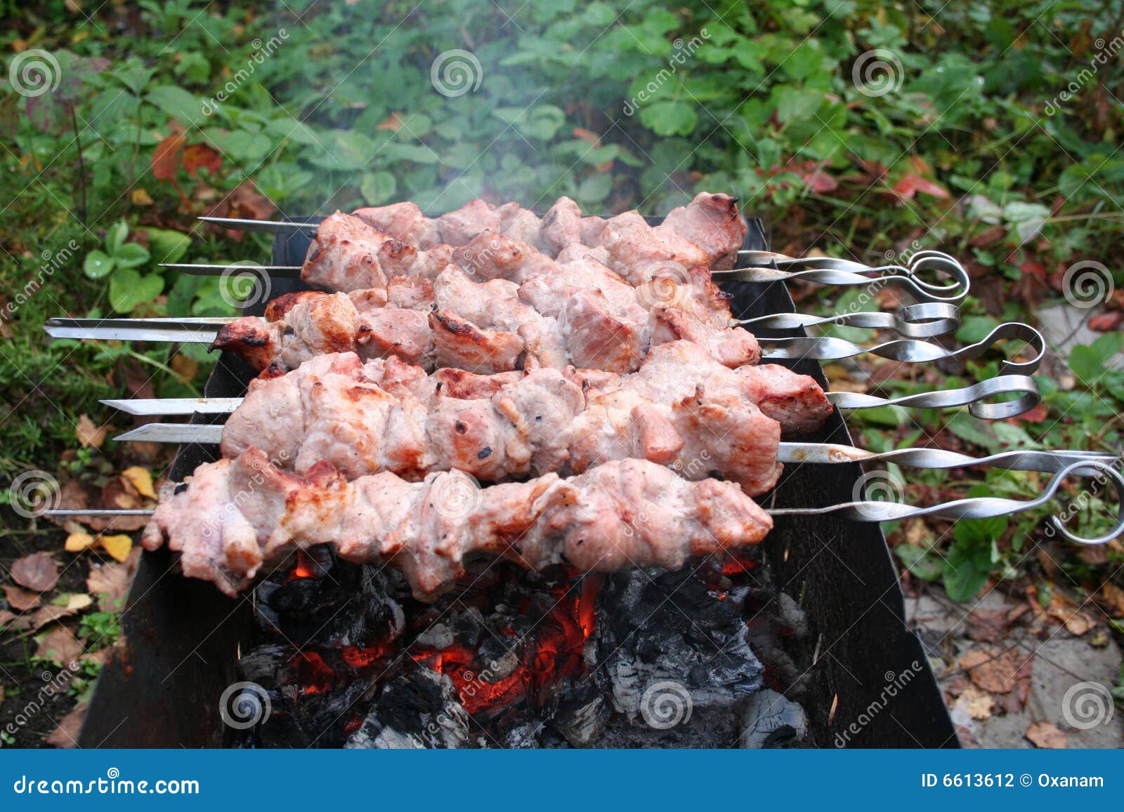 Shish Kebab. Outdoor Picnic Stock Photo Image of grilled, food 6613612