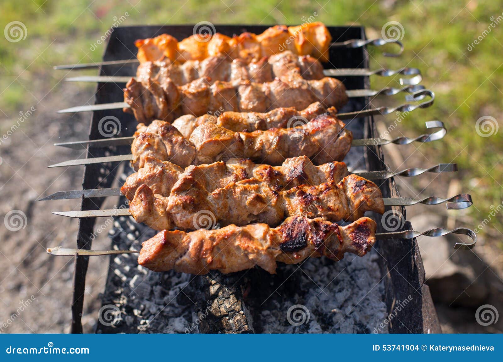 Shish Kebab of the Pork with the Mix of Spices Stock Photo - Image of ...