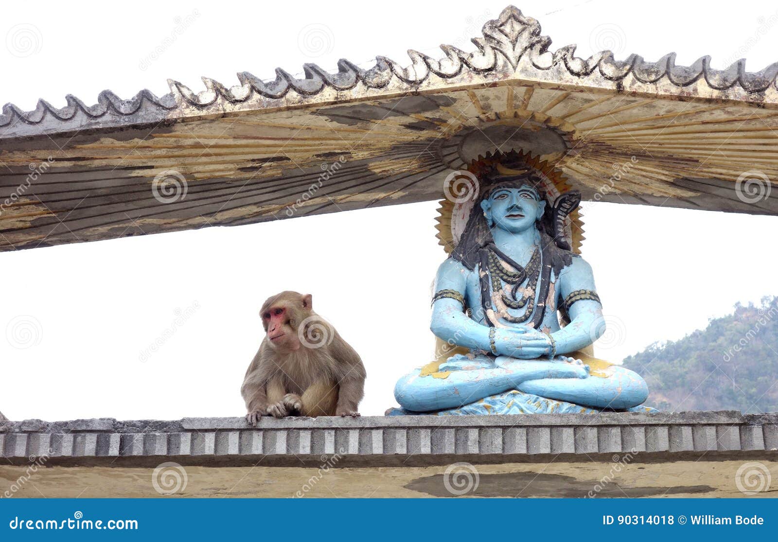 Shiva and Hanuman stock photo. Image of meditating, large - 90314018