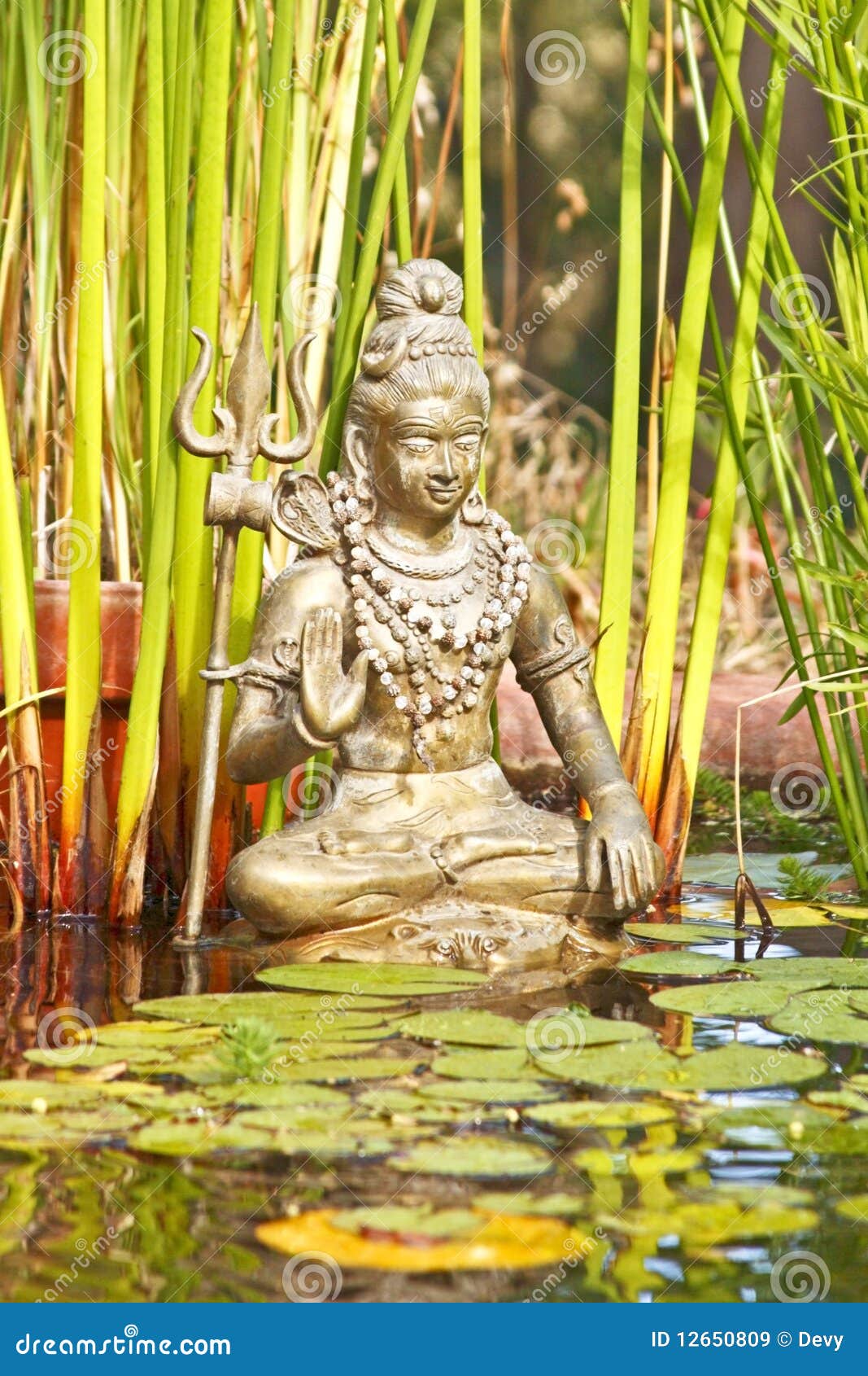Shiva statue in a pond stock image. Image of decoration 12650809