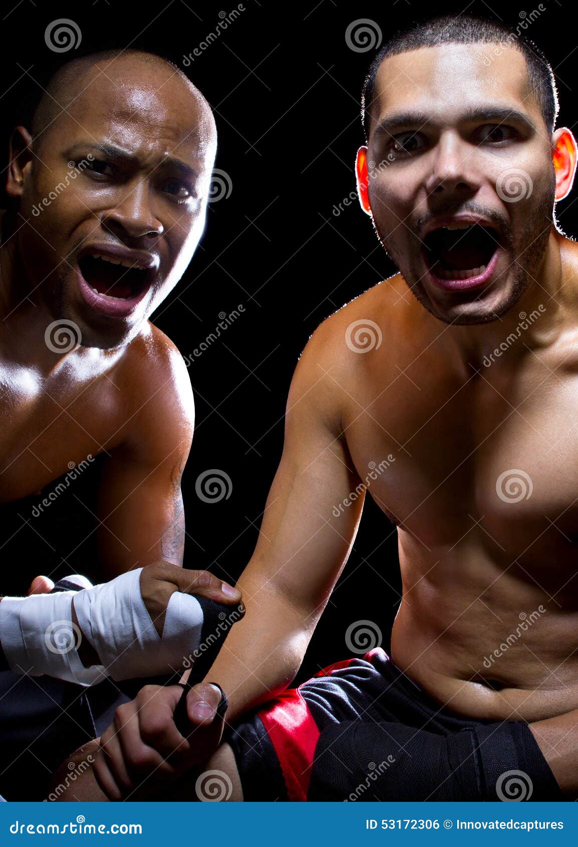 Shocked Boxer and Trainer stock photo. Image of boxer 53172306
