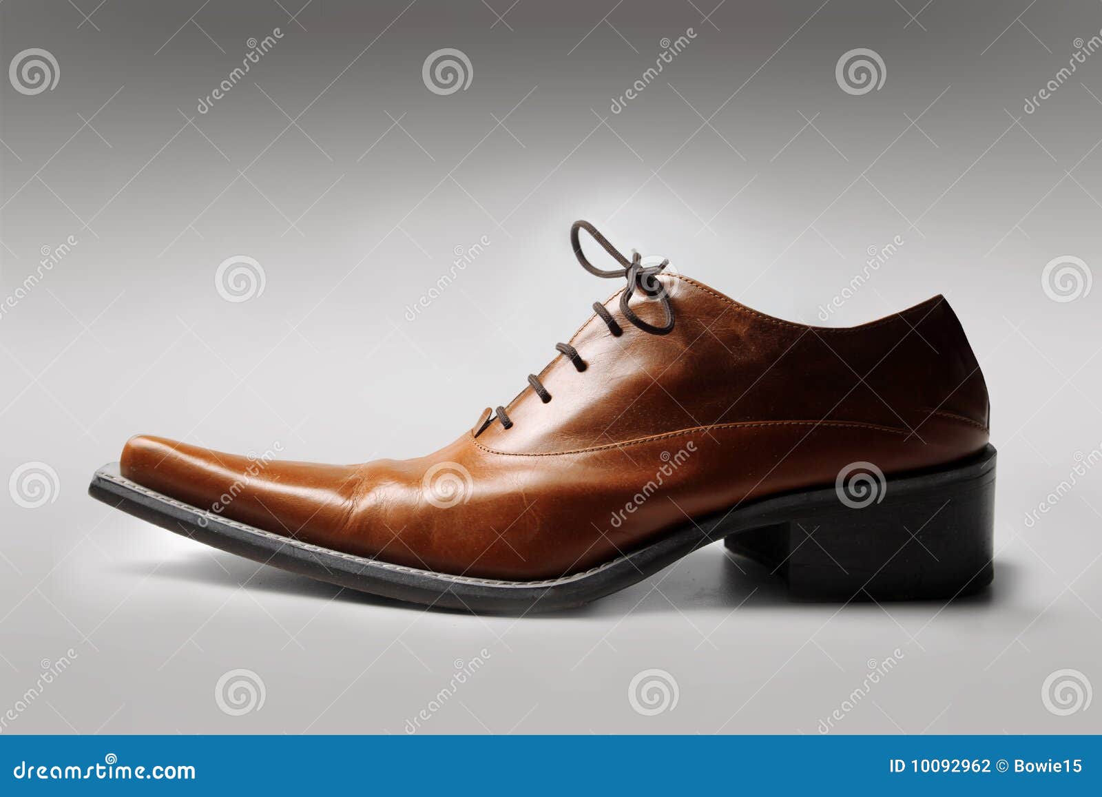 Shoe stock photo. Image of shoes, elegant, brown, grey - 10092962