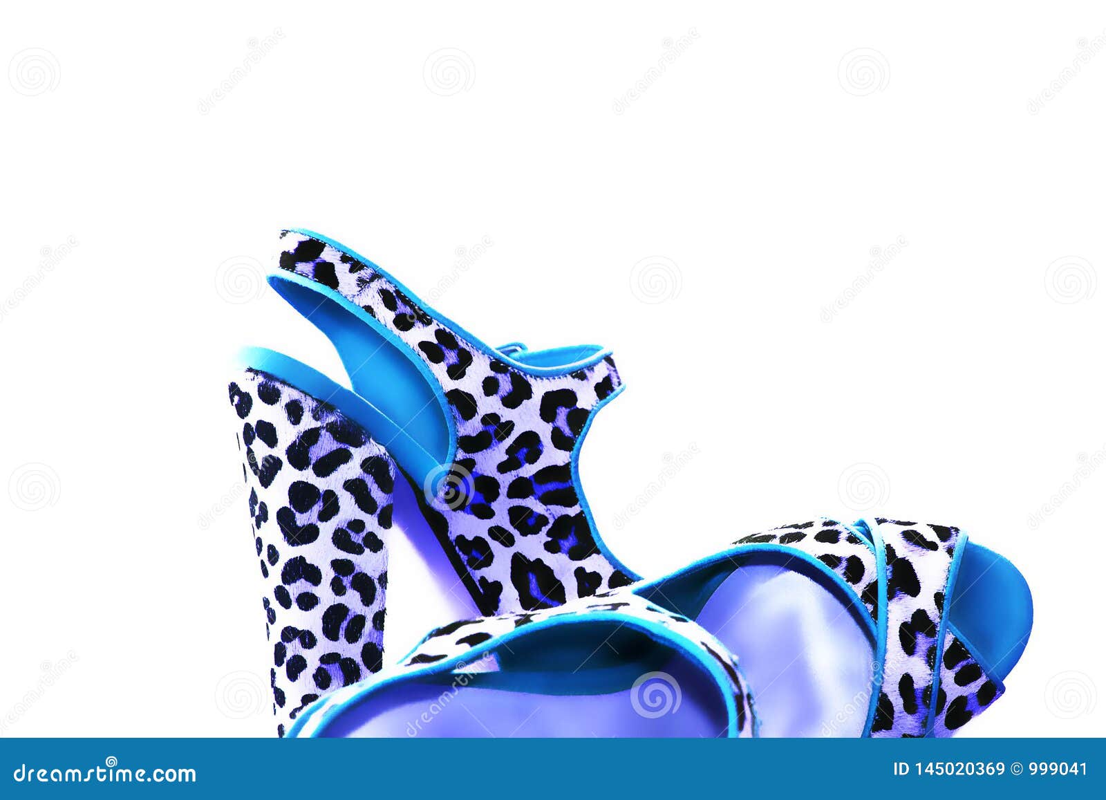 Female Leopard Sandals Blue, Isolated on White Background Stock Image ...