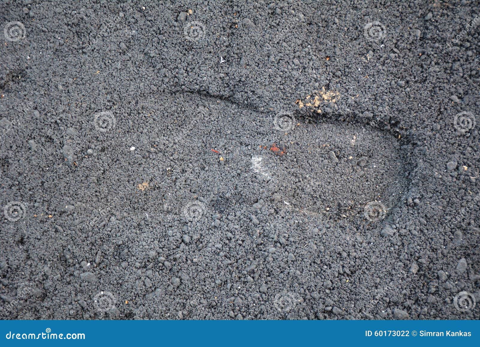 Shoe Impression in Concrete Stock Photo Image of steps, impression