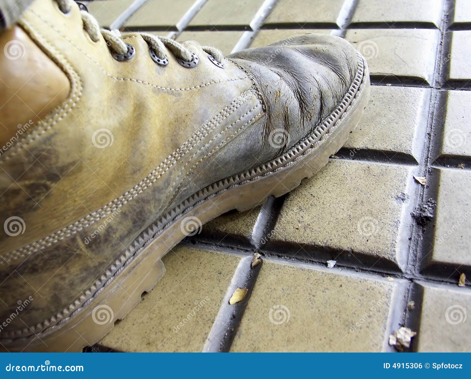 A shoe on tiles stock photo. Image of brown, untied, worker - 4915306