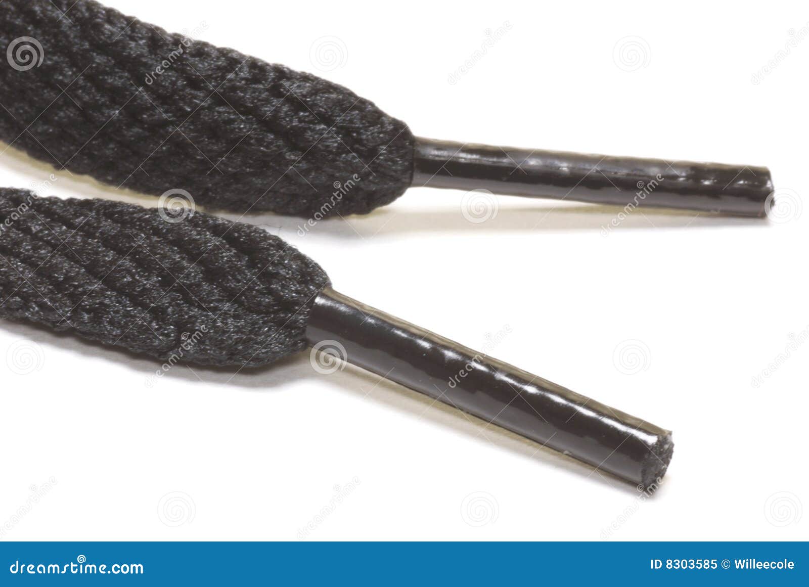 Shoelace aglets stock image. Image of strip, isolated 8303585