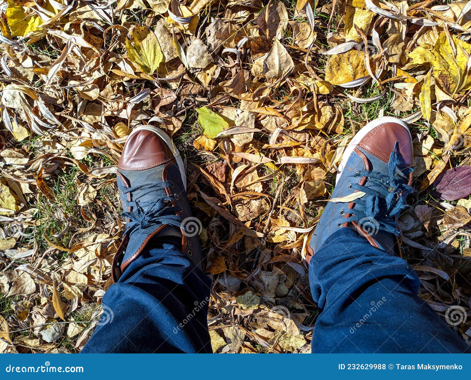 shoes and autumn leaves