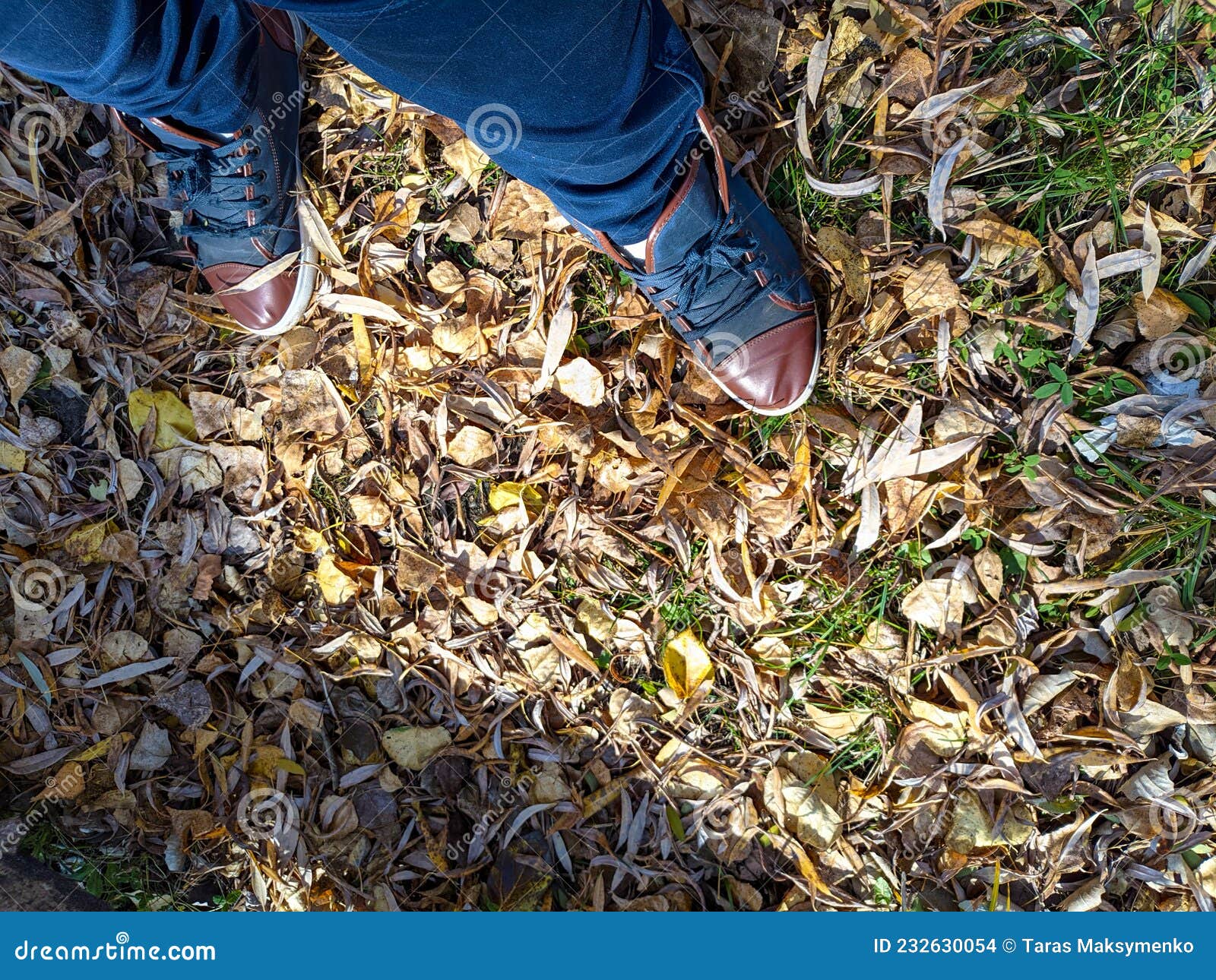 shoes and autumn leaves