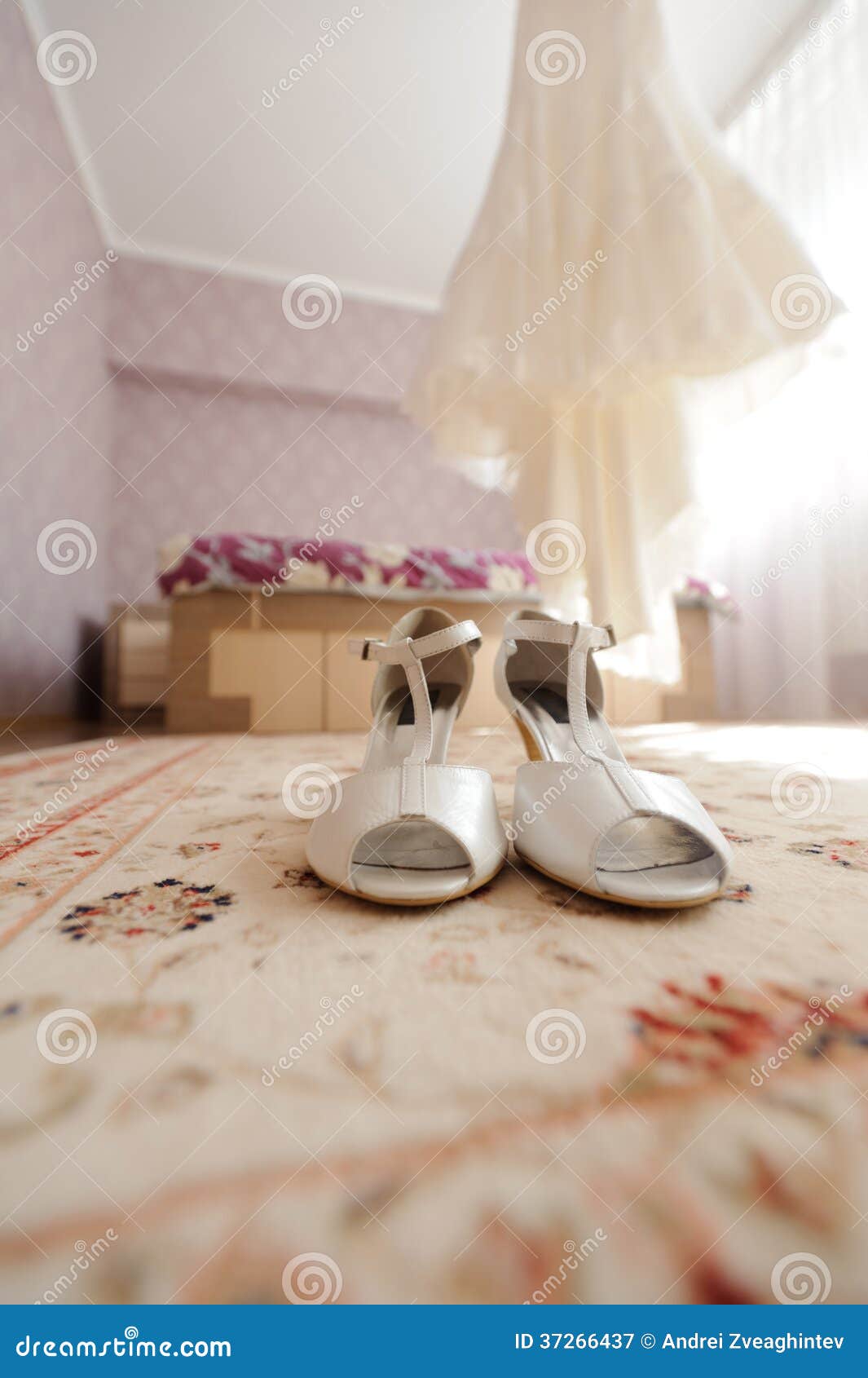 Shoes on Carpet in Bride S Room Stock Image Image of clothing, luxury 37266437