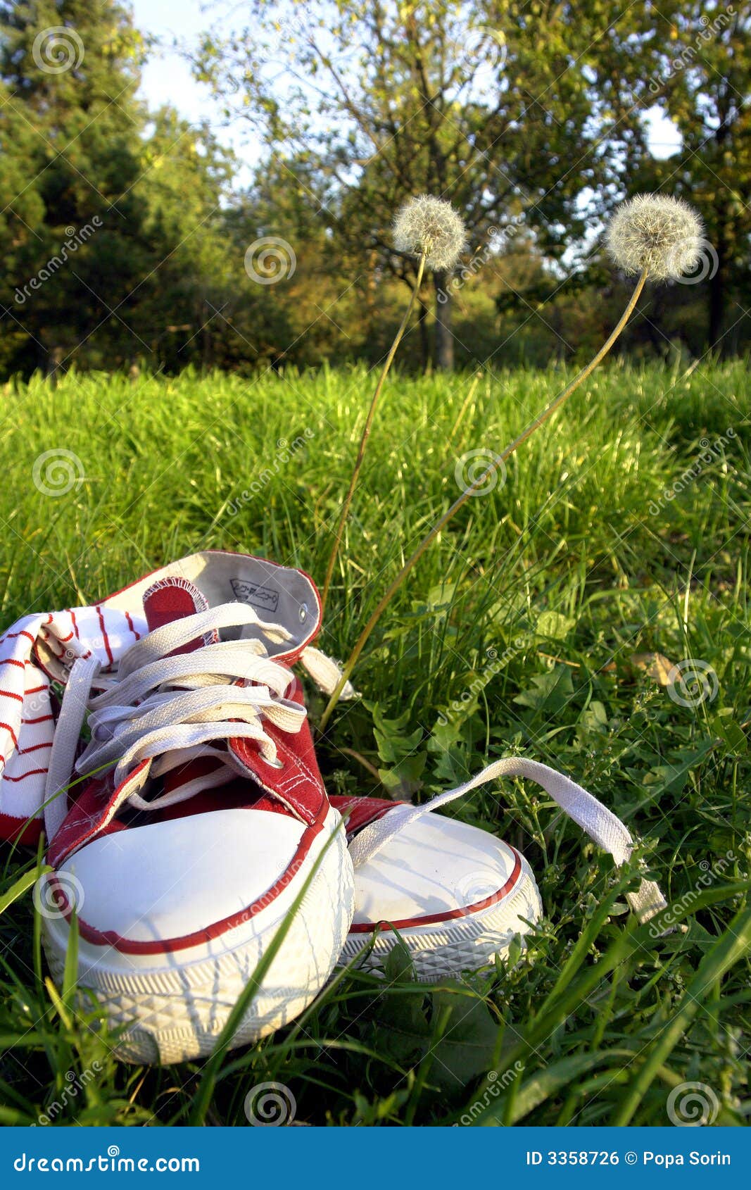 Shoes on grass stock photo. Image of meadow, bare, caucasian 3358726