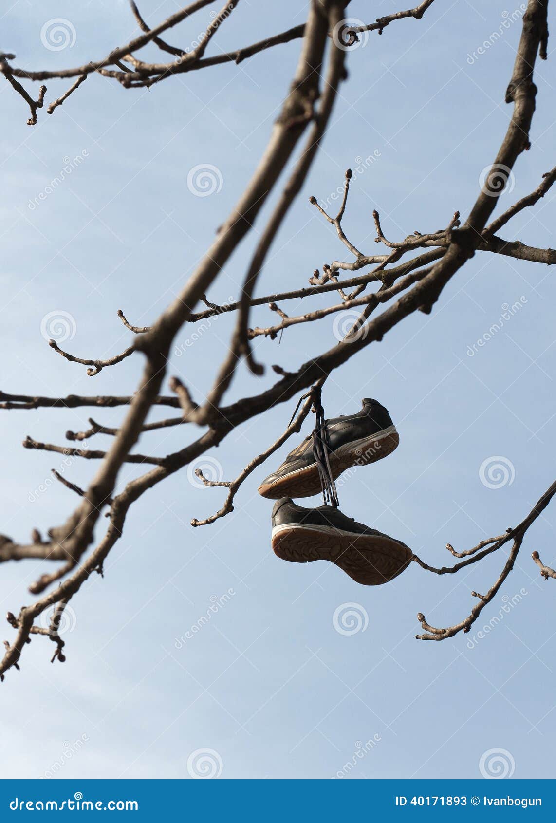 Shoes hung from a tree stock image. Image of dangling 40171893