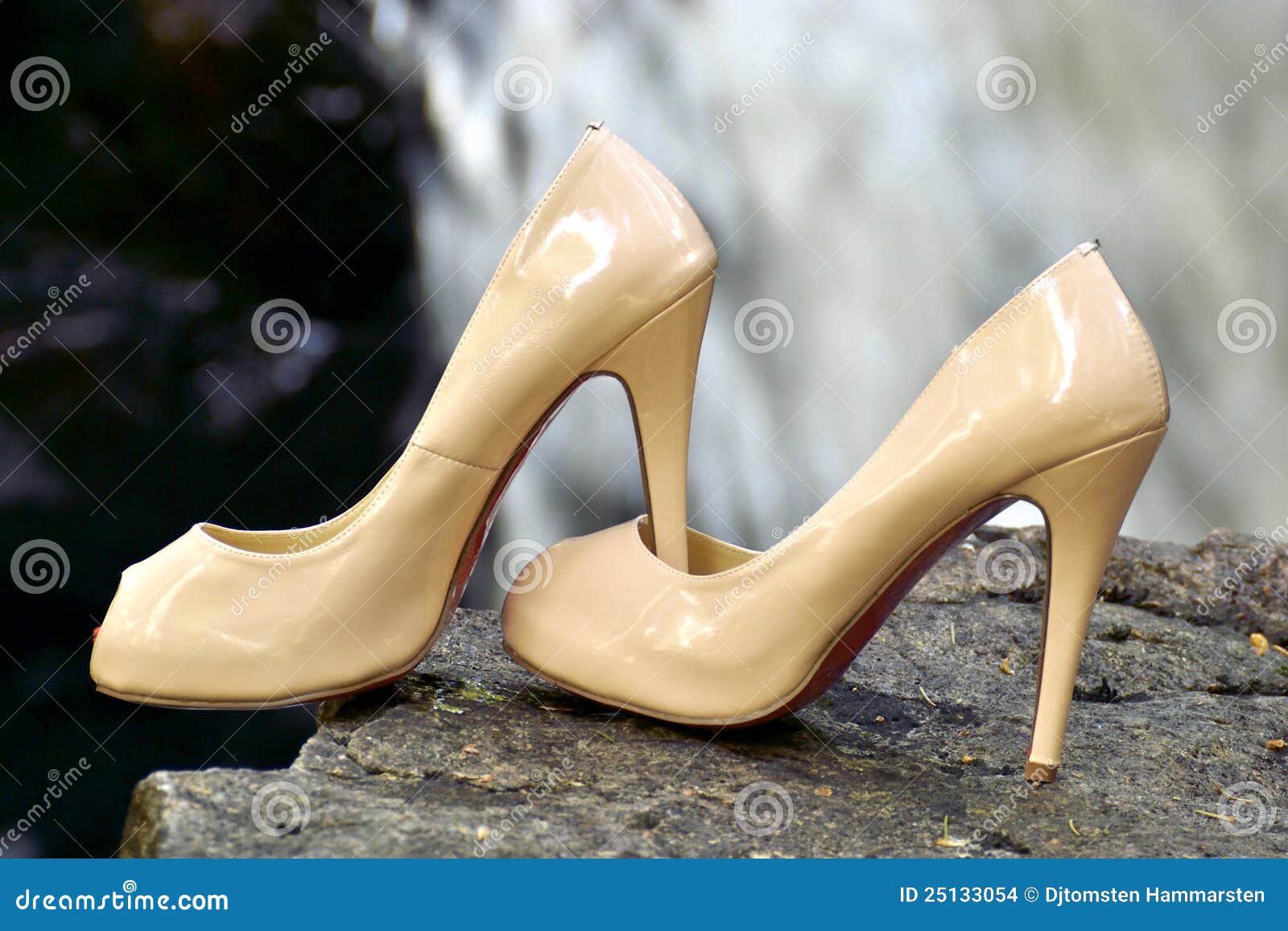 Shoes a pair of pumps stock Image shoe, leather 25133054