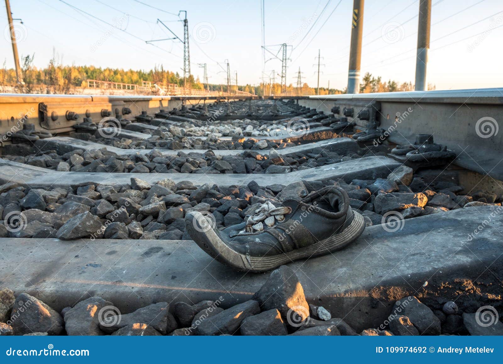 the rail shoes