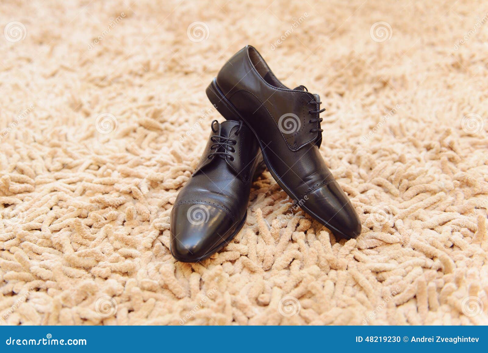 Shoes on Soft Carpet stock photo. Image of groom, soft 48219230