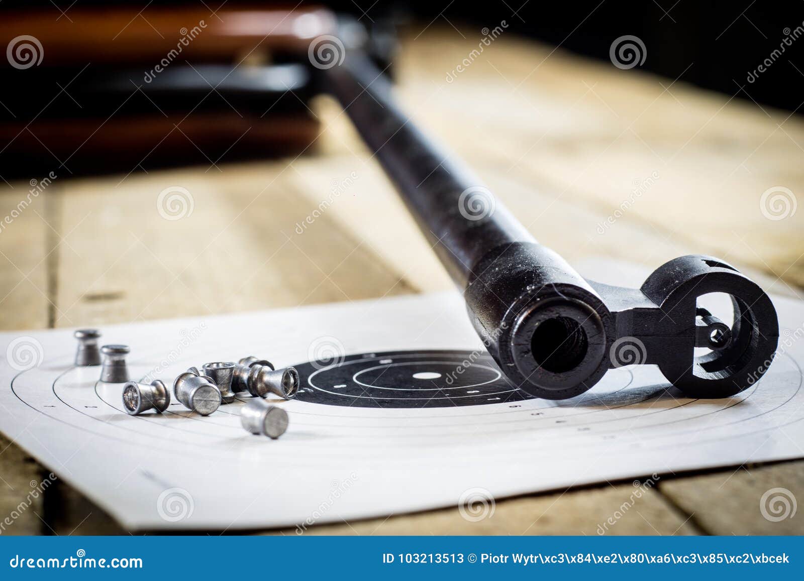 Shooting, Pneumatic Weapon with Shield and Shotgun at the Shooting