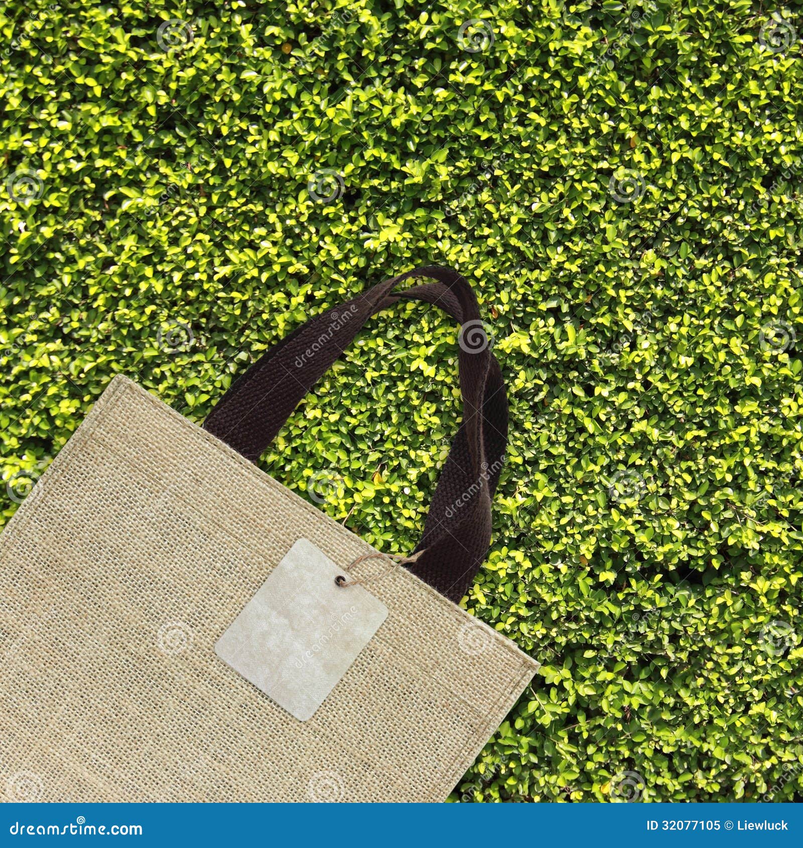 Shopping Bag on Green Leaves Stock Image - Image of nature, sack: 32077105