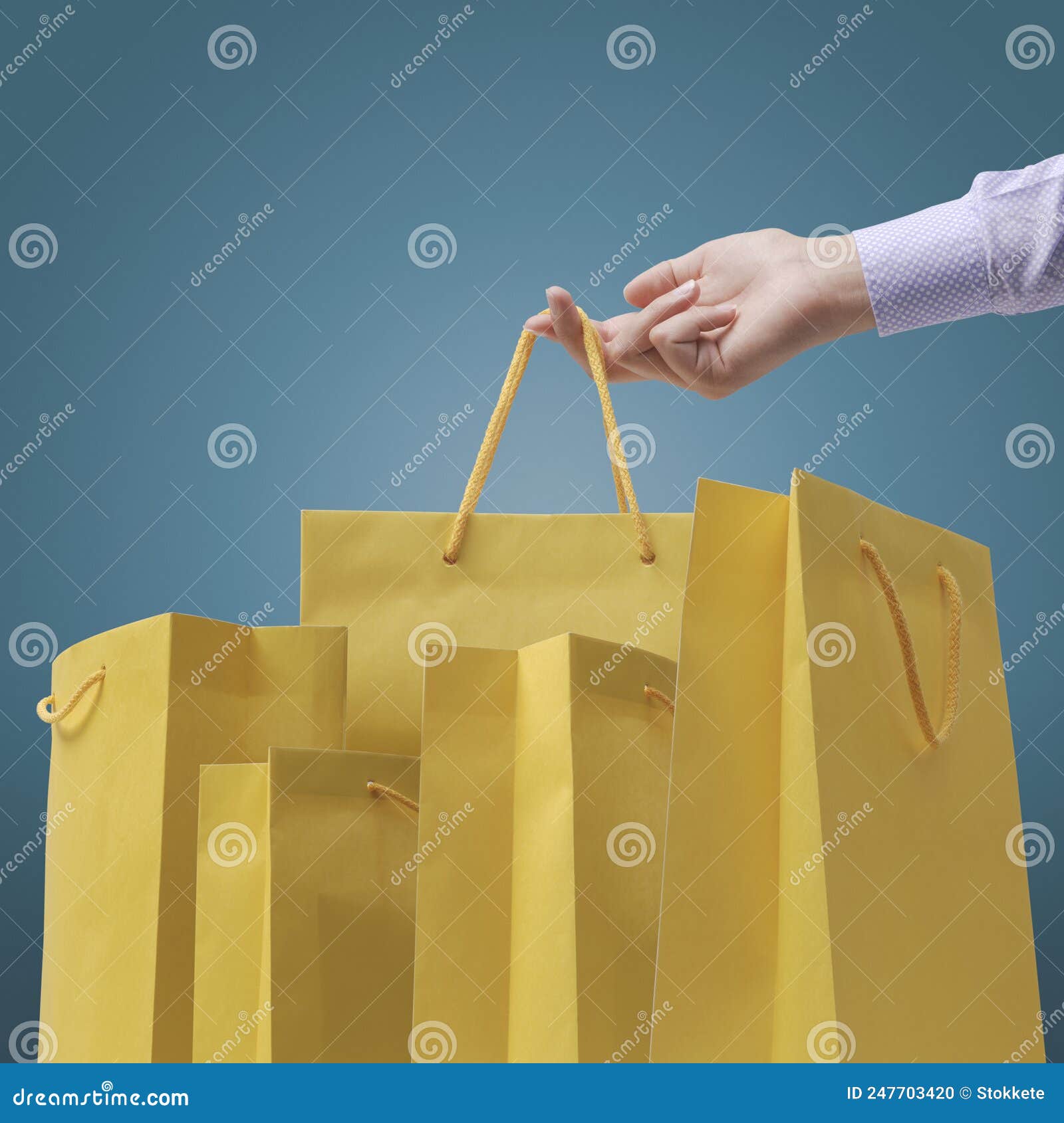 Shopping Bags and Female Hand Stock Photo - Image of holding, discount ...