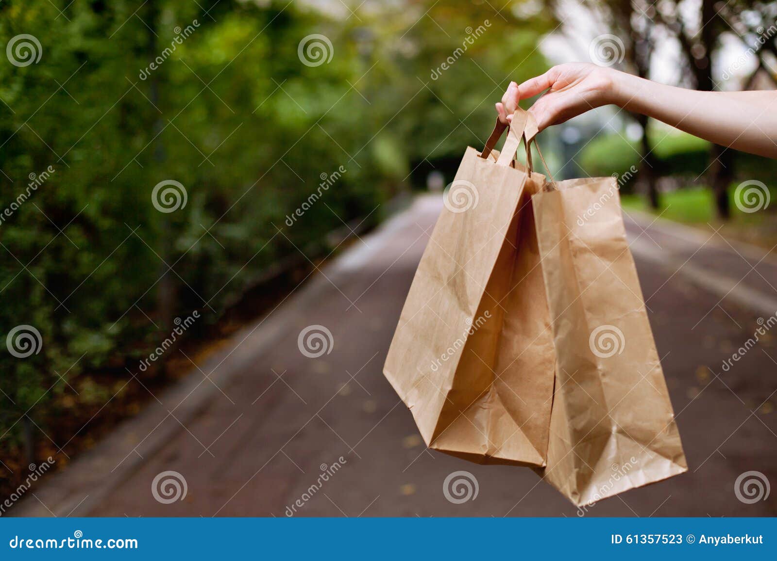 Shopping bags in the hand stock image. Image of person 61357523