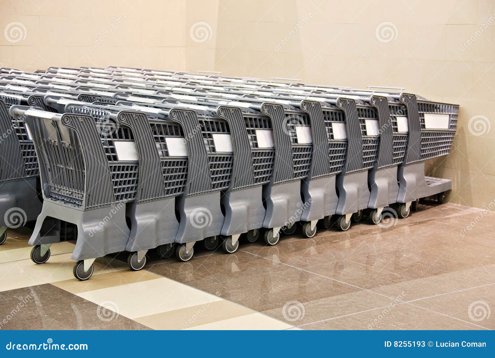 Shopping carts stock image. Image of carts, grey, parked 8255193