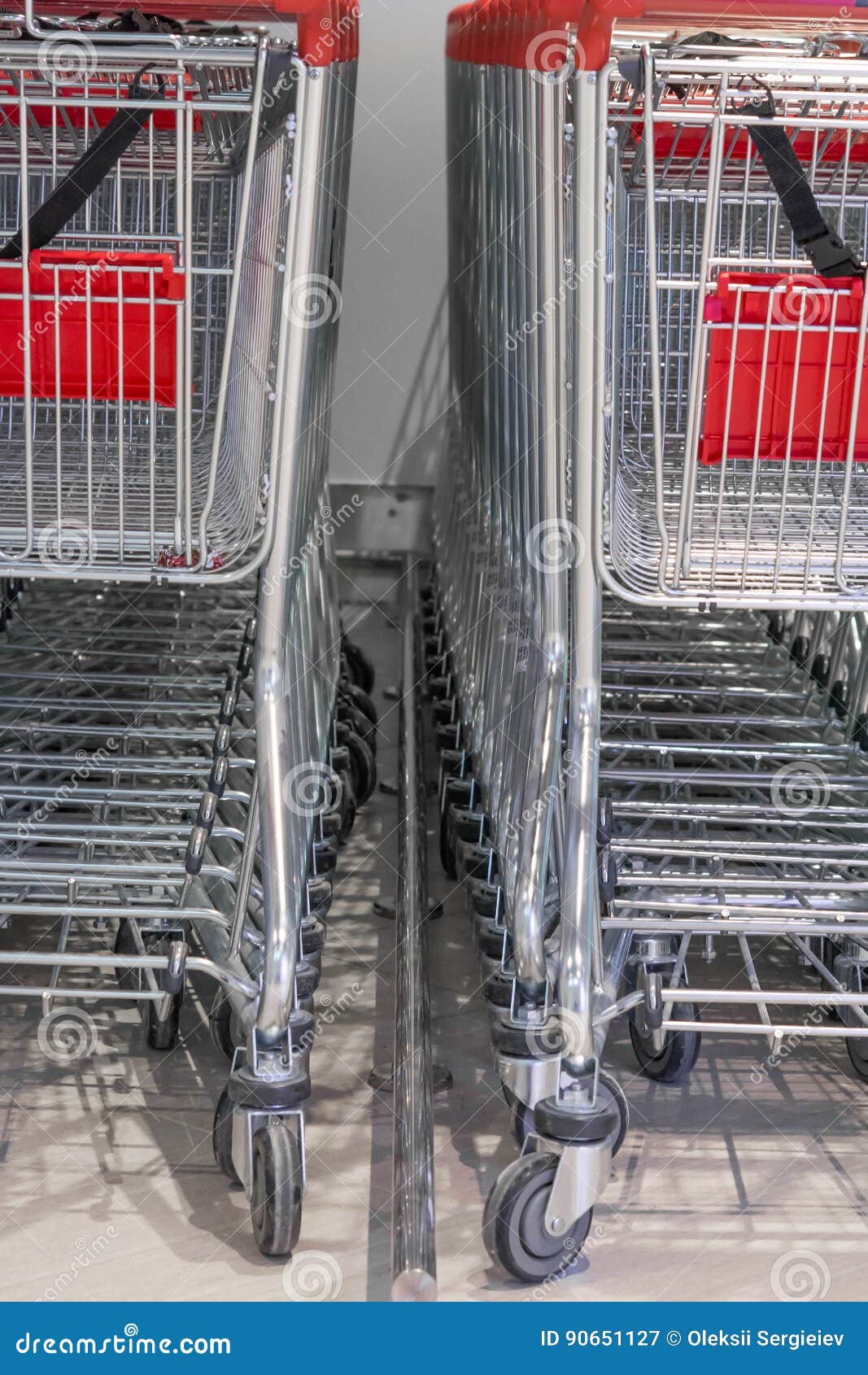 Shopping Carts on a Parking Lot Stock Image Image of consumer