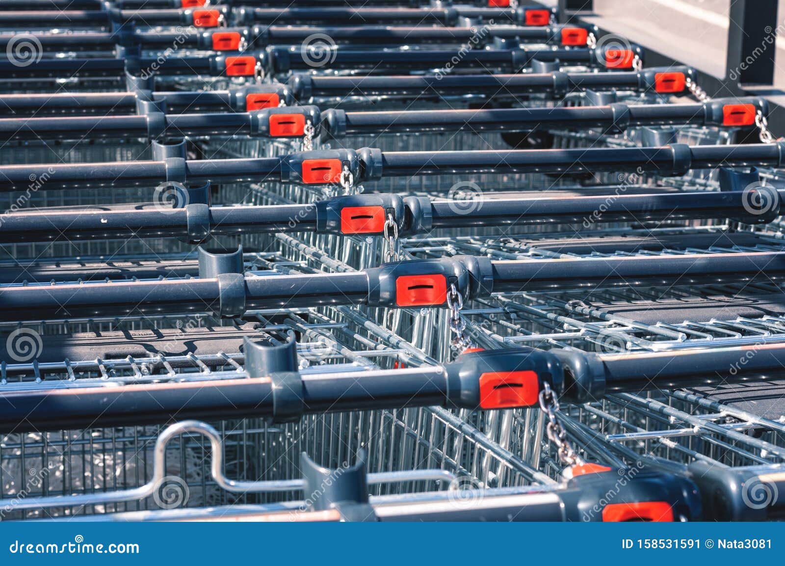 shopping carts in the store, assembled in a row in the parking lot. close-up.