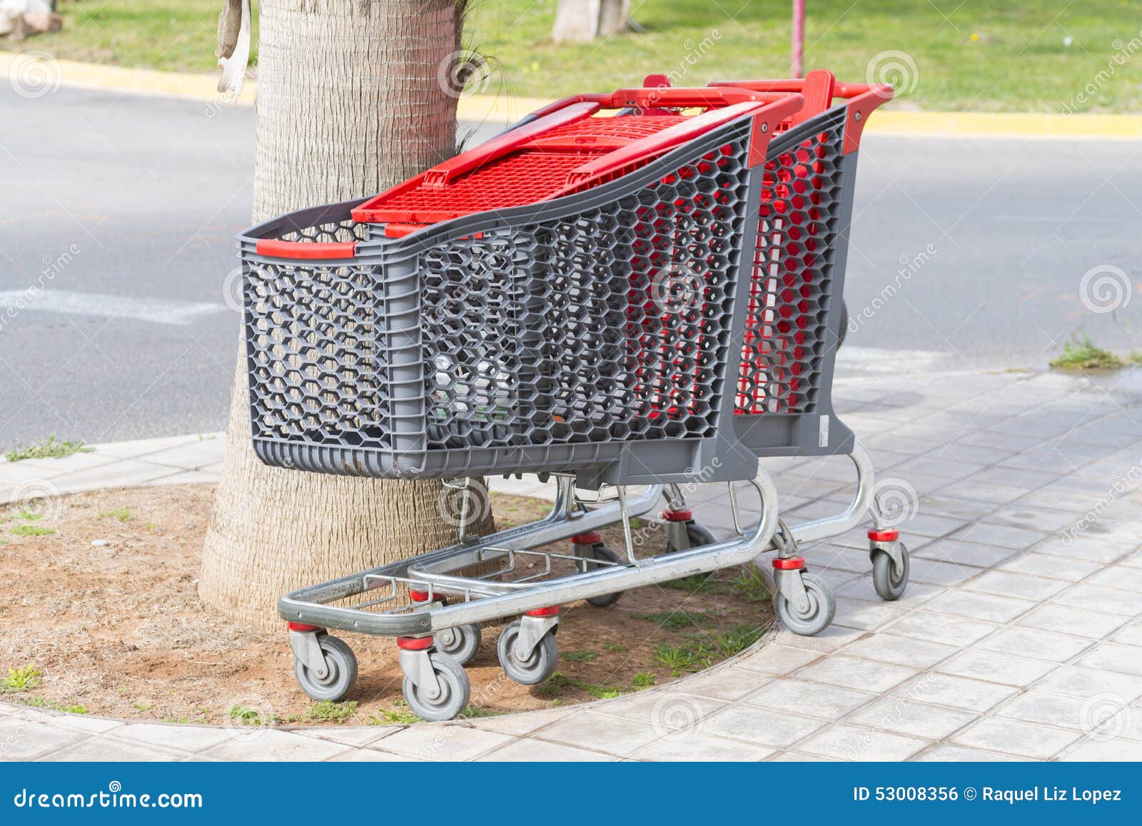 Shopping carts. stock photo. Image of month, carts, food 53008356