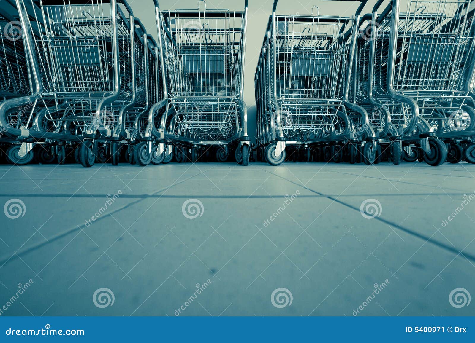 shopping carts in supermarket