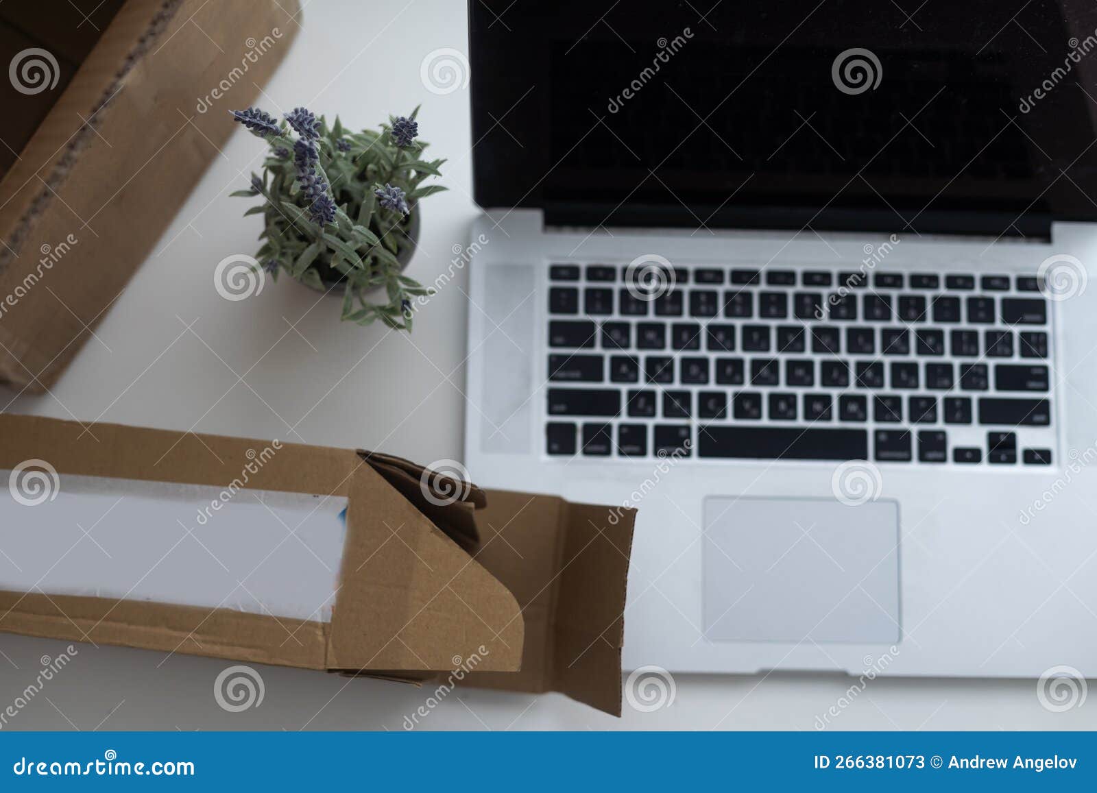 shopping online e-comerce, parcel boxes on a laptop.