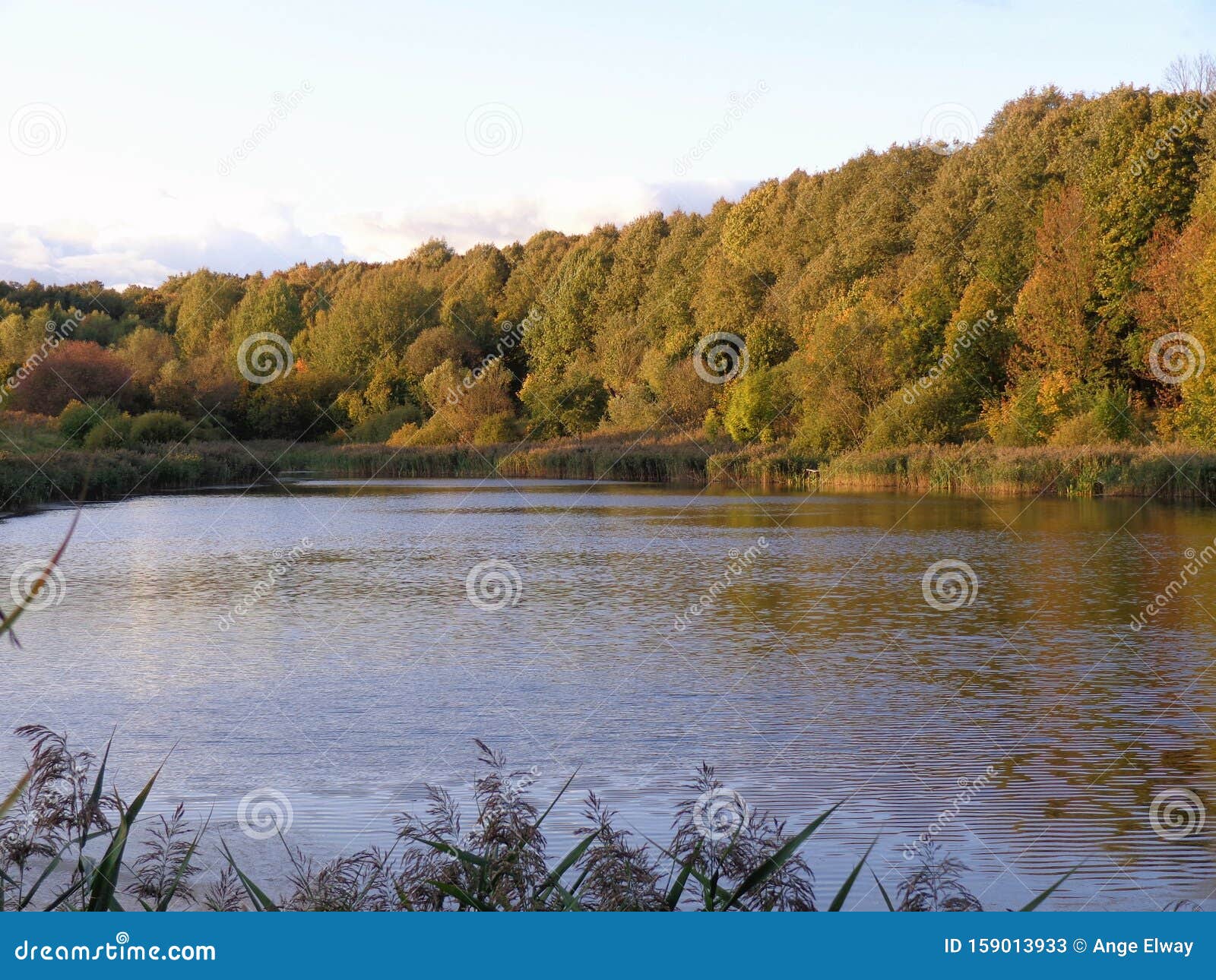 Lake and Forest on the Sundown. Stock Image Image of figure, home