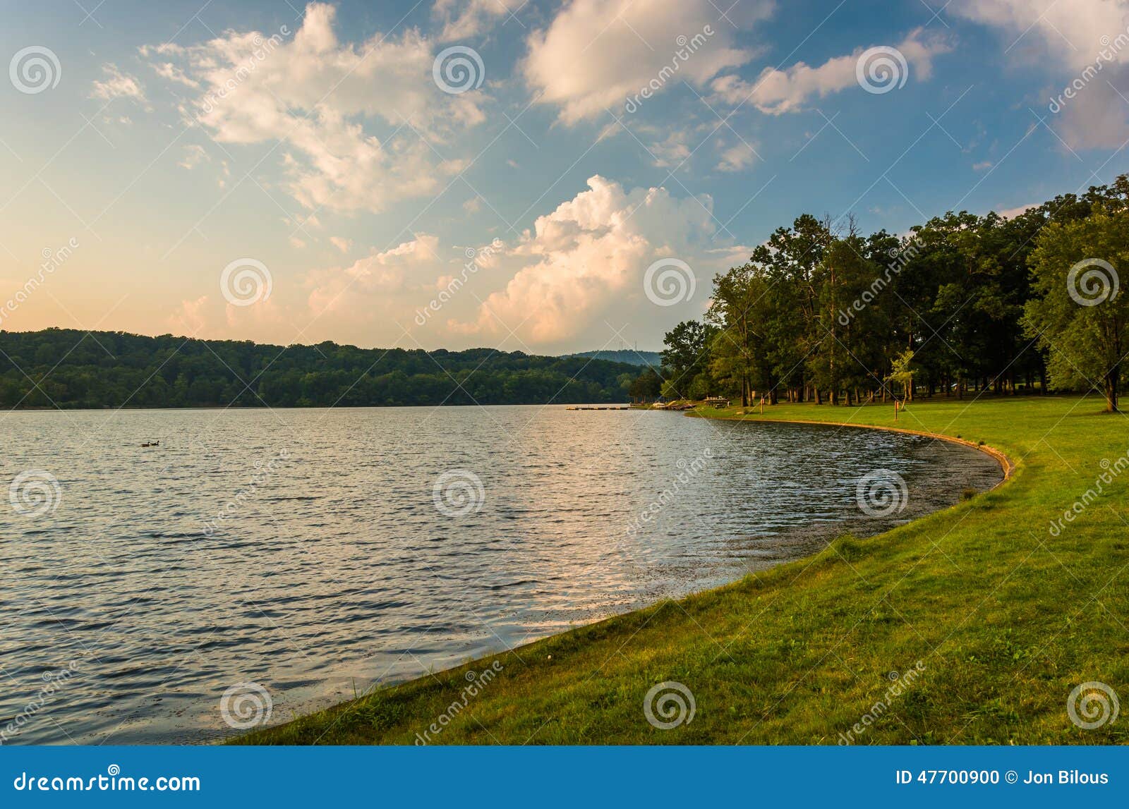 the shore of lake pinchot, gifford pinchot state park, pennsylvania.