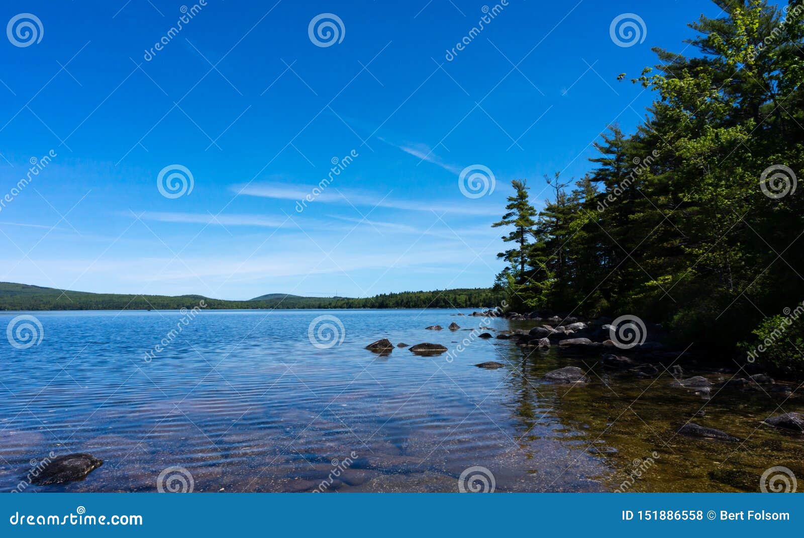Shoreline of Branch Lake in Maine in the Summertime Stock Photo Image