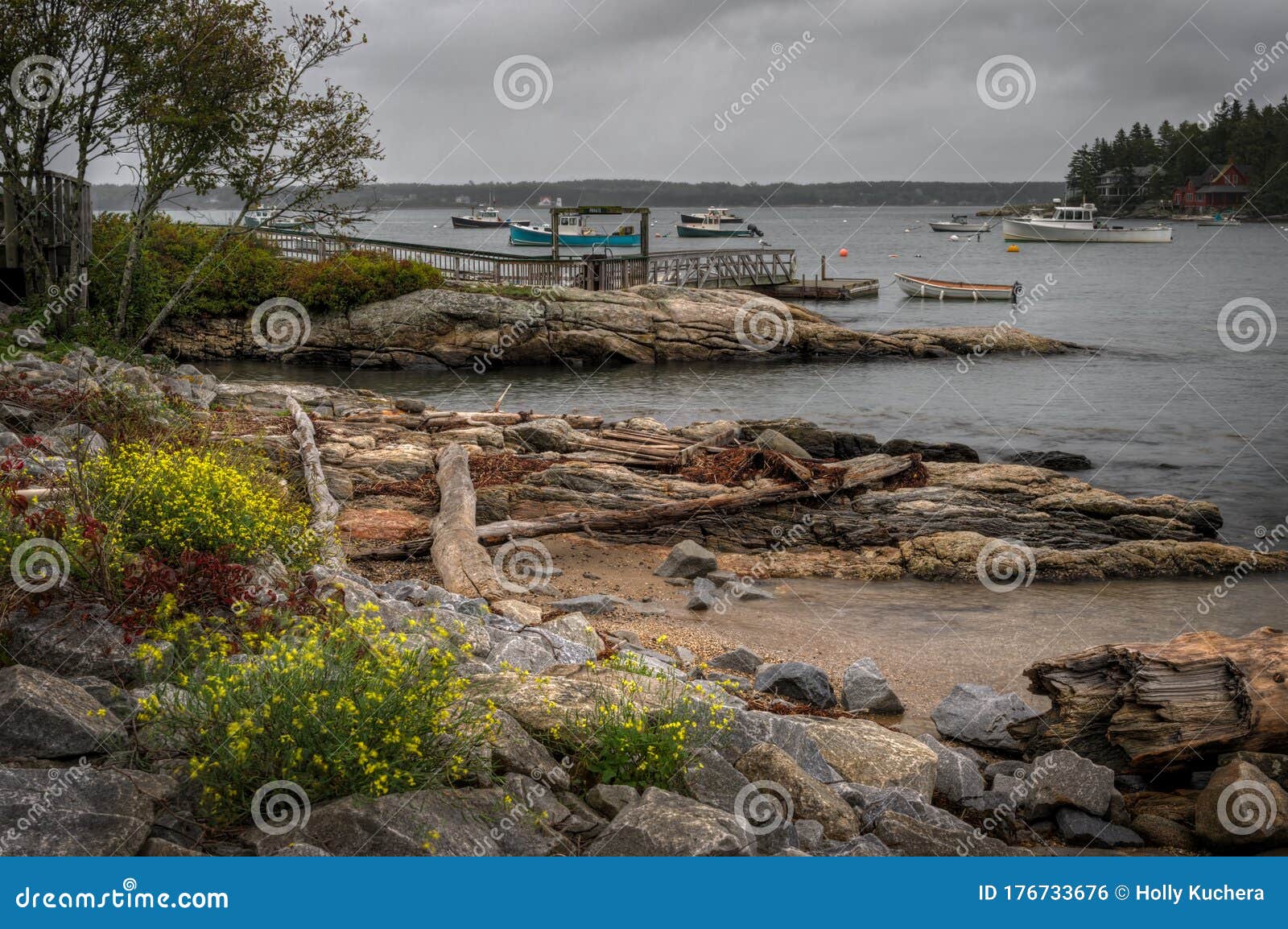 Shoreline and Dock in Maine Harbor Stock Photo Image of horizontal