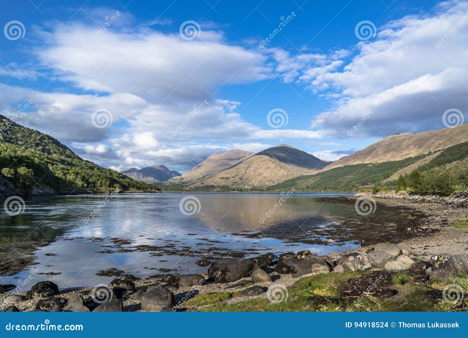 Shores of Loch Creran by the Loch Creran Bridge Stock Photo - Image of ...