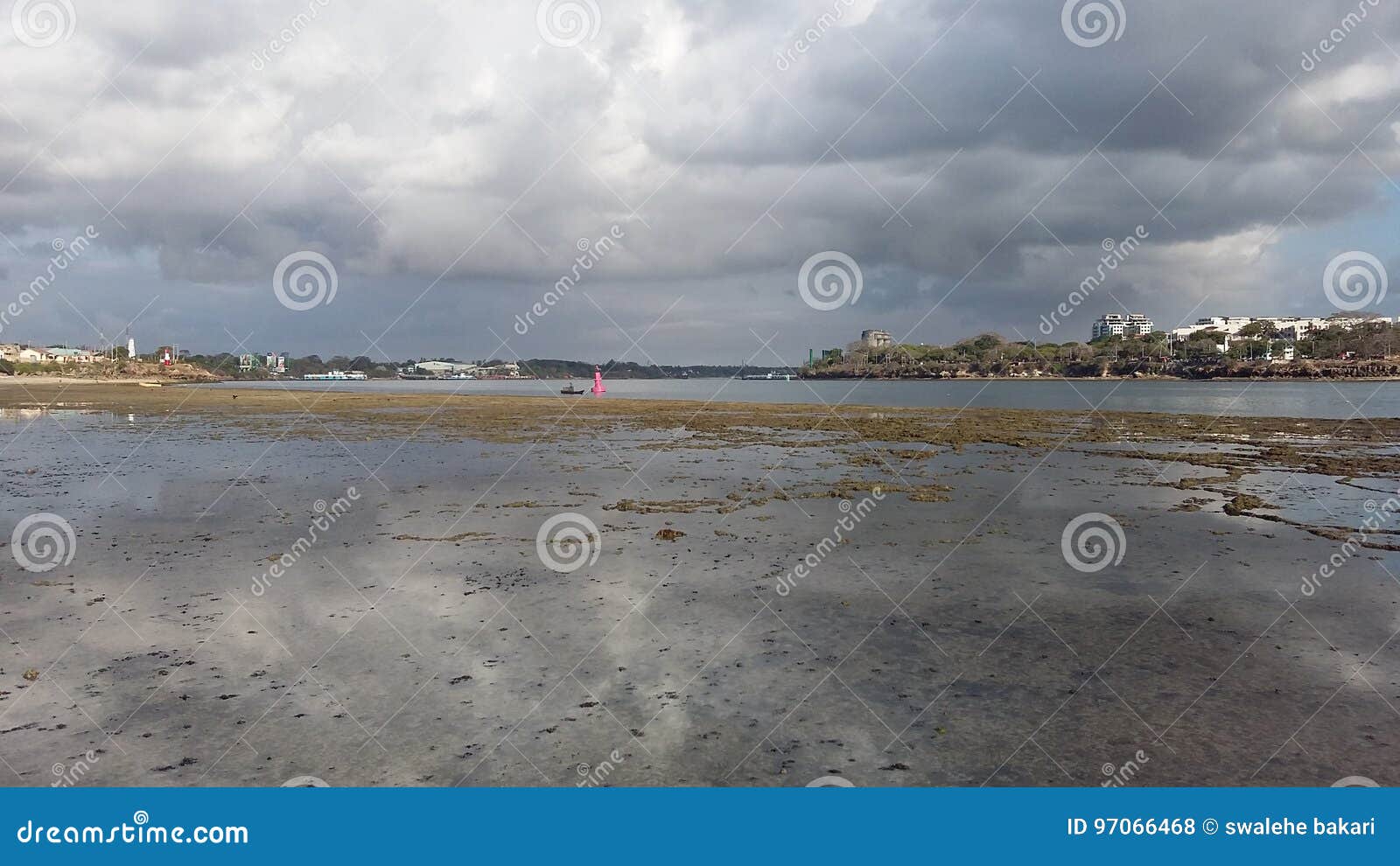 Shores stock photo. Image of shelly, tides, shores, beach 97066468