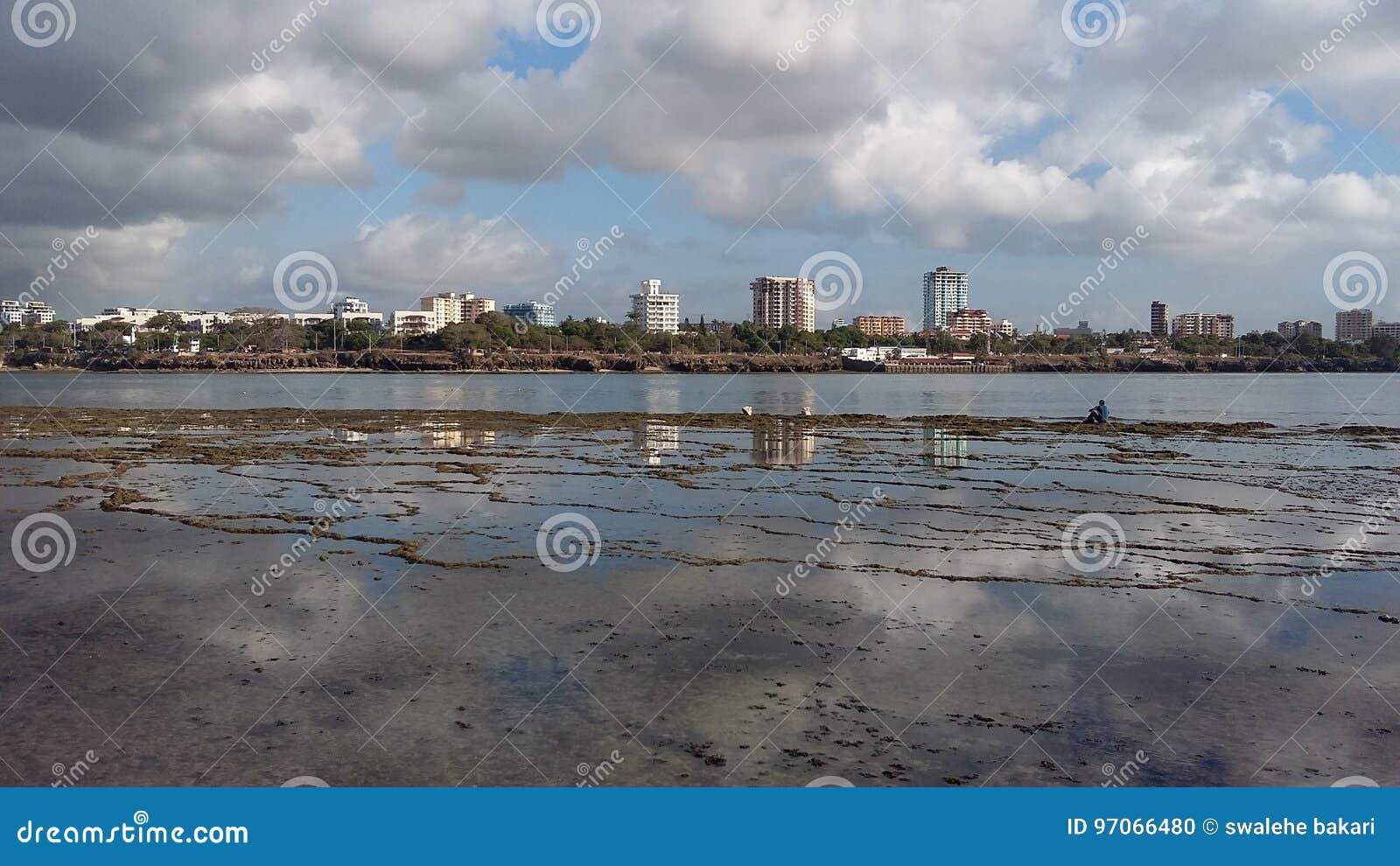 Shores stock photo. Image of floodplain, tide, shore 97066480