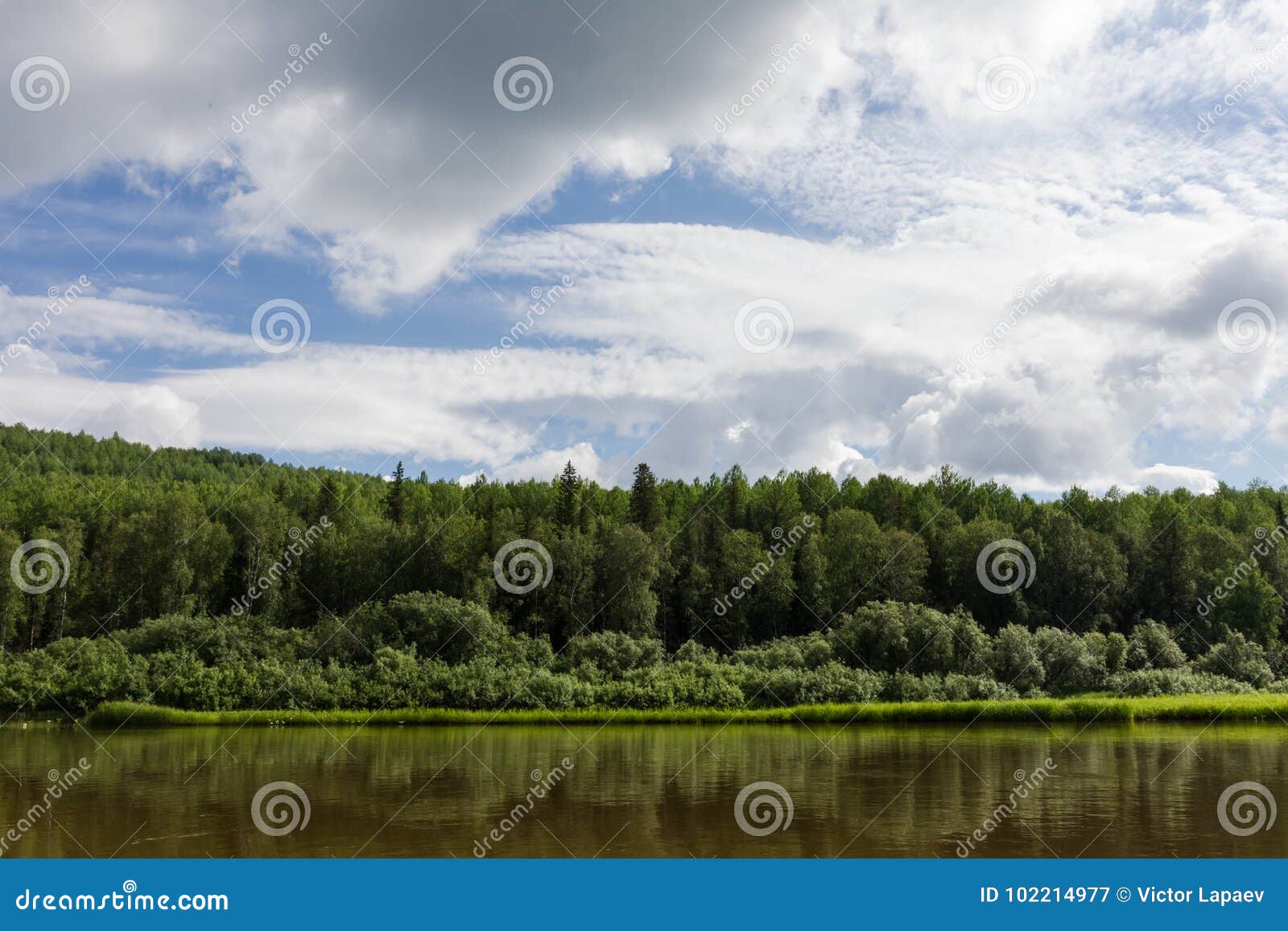 Shores Of Small River Krasnoyarsk Region Russia Stock Image Image