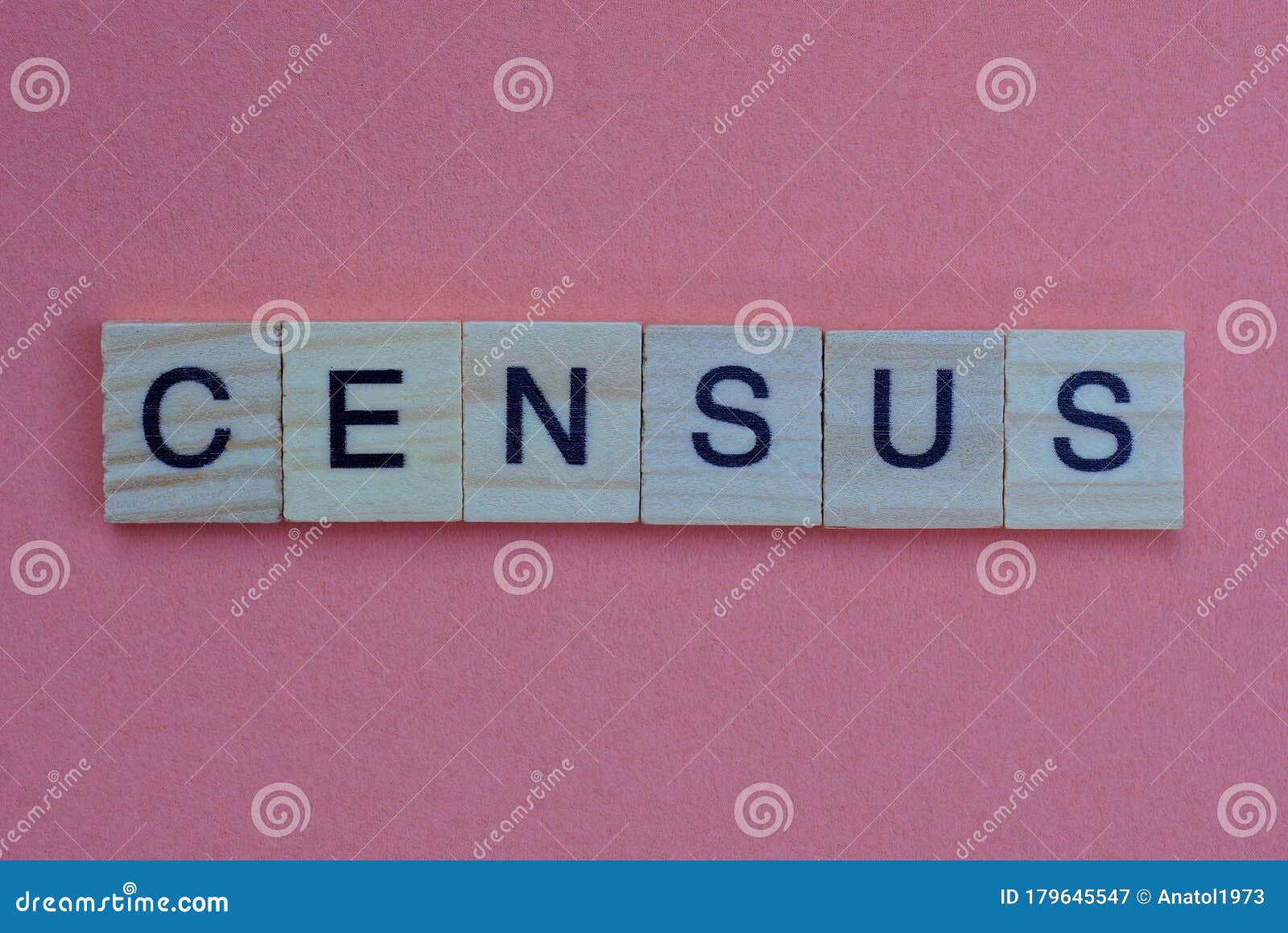 short gray word census in small wooden letters