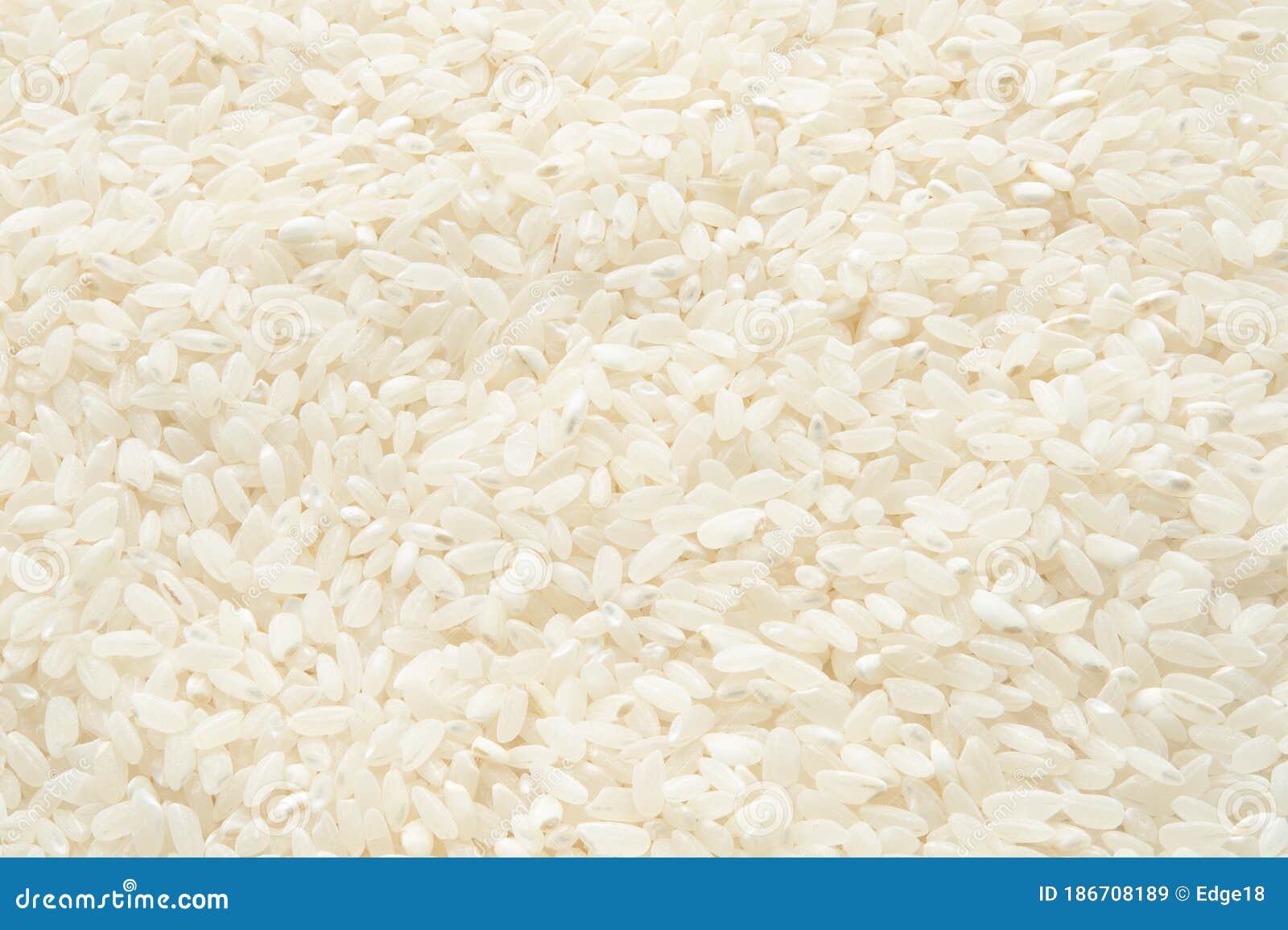Short Round Grain Rice Background. Focus All Over the Frame Stock Image