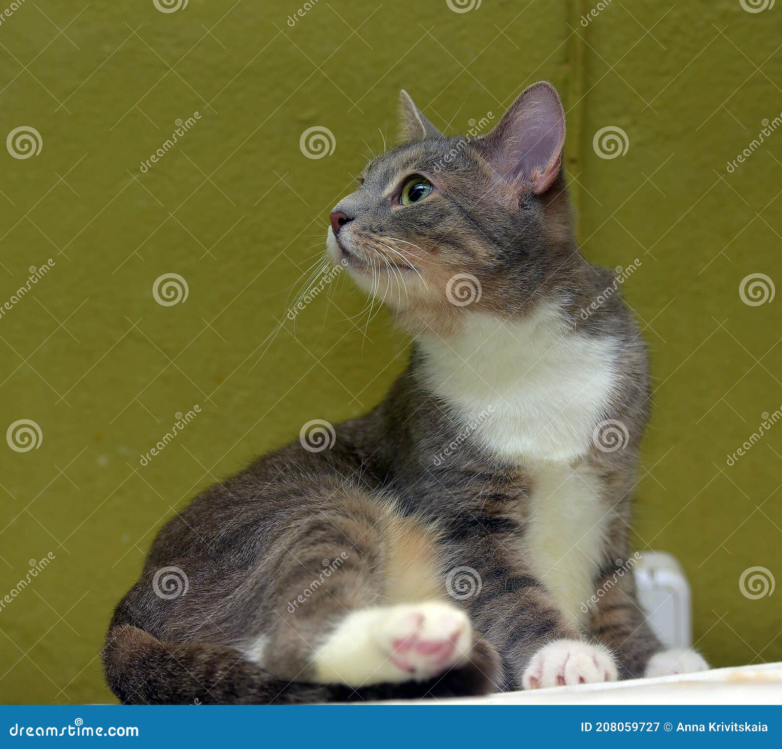 My Image 6