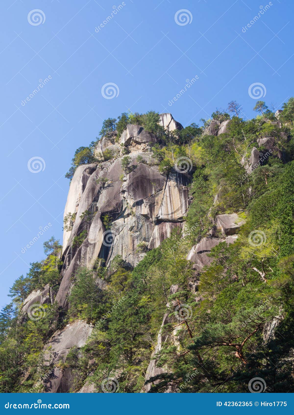 Shosenkyo Gorge in Fresh Green in Kofu, Yamanashi, Japan Stock Image ...