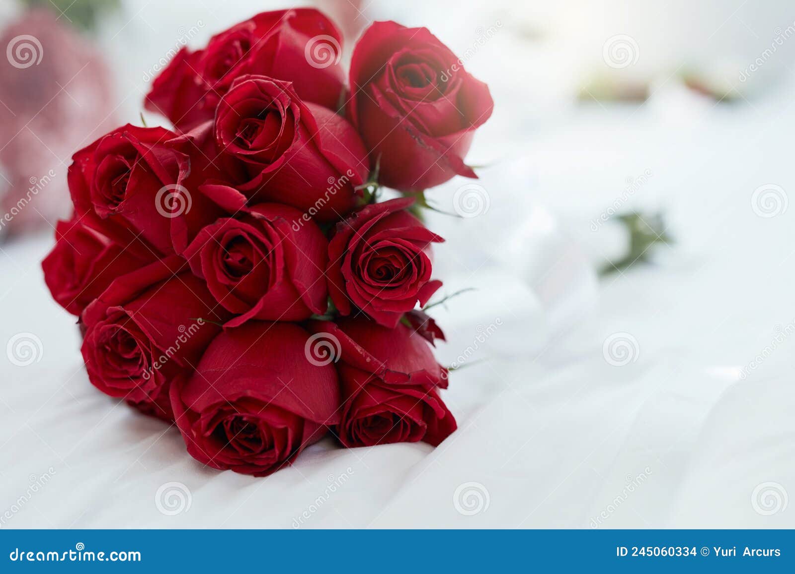 Roses are Red and Love is Forever. Shot of a Bunch of Red Roses Lying ...