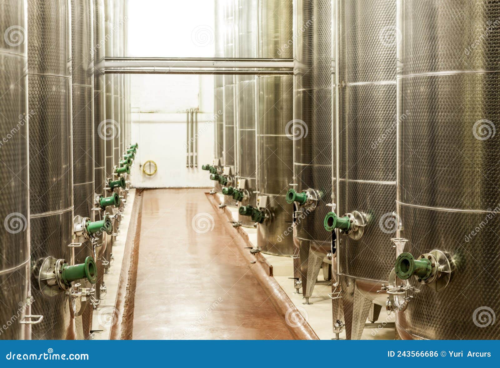 Producing Wine on a Large Scale. Shot of the Fermentation Vessels