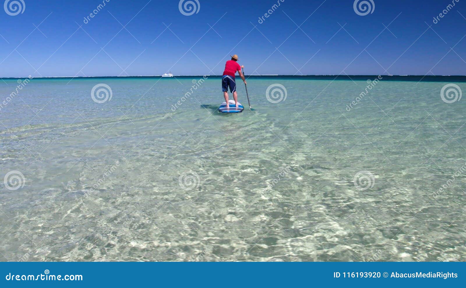 Paddle Boarding in Monkey Mia Beach Stock Footage Video of paddle